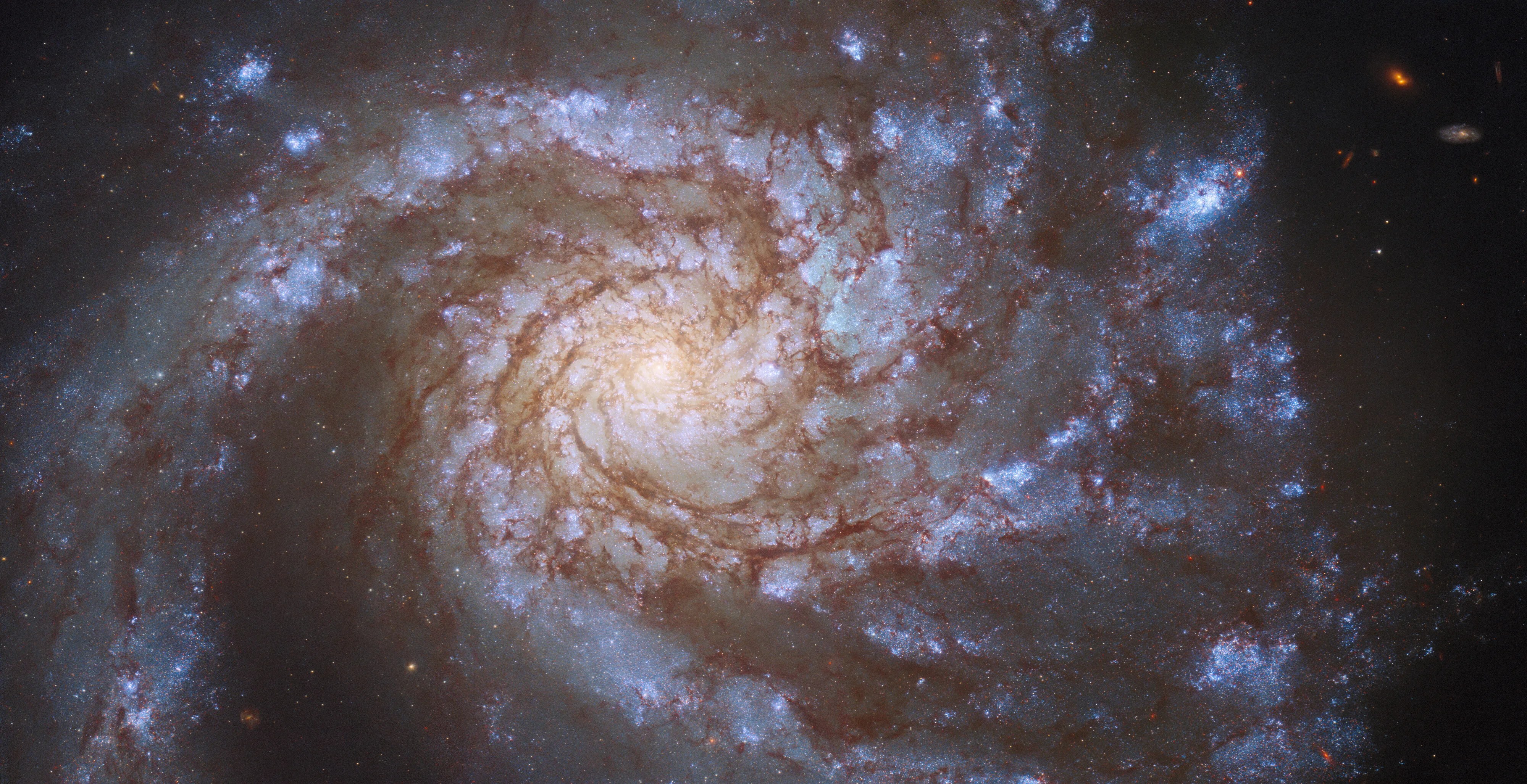 Face-on spiral galaxy, with a bright yellow-white core. spiral arms sweep out from the core, reddish-brown dust lanes outline the inner part of the arms.