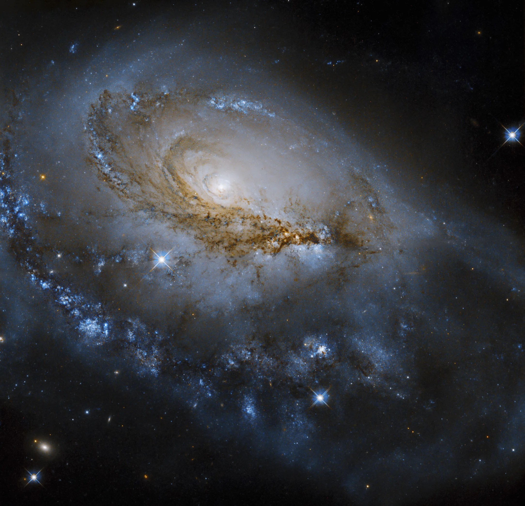 Bright spiral galaxy fills the scene. dark reddish-brown dust lanes bisect the spiral arms. bright blue stars are dotted troughout.