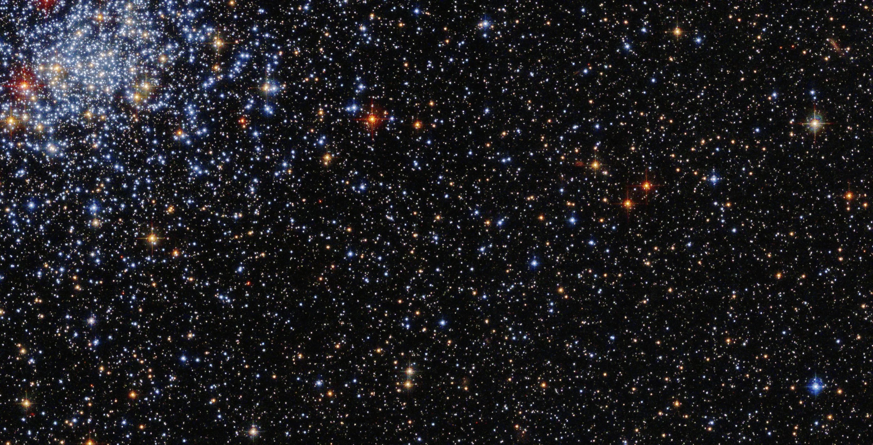 A group of blue-white stars gathered in the upper left corner of the image. the group includes a smattering of orang-white stars. the rest of the image holds a black background is dotted with stars.