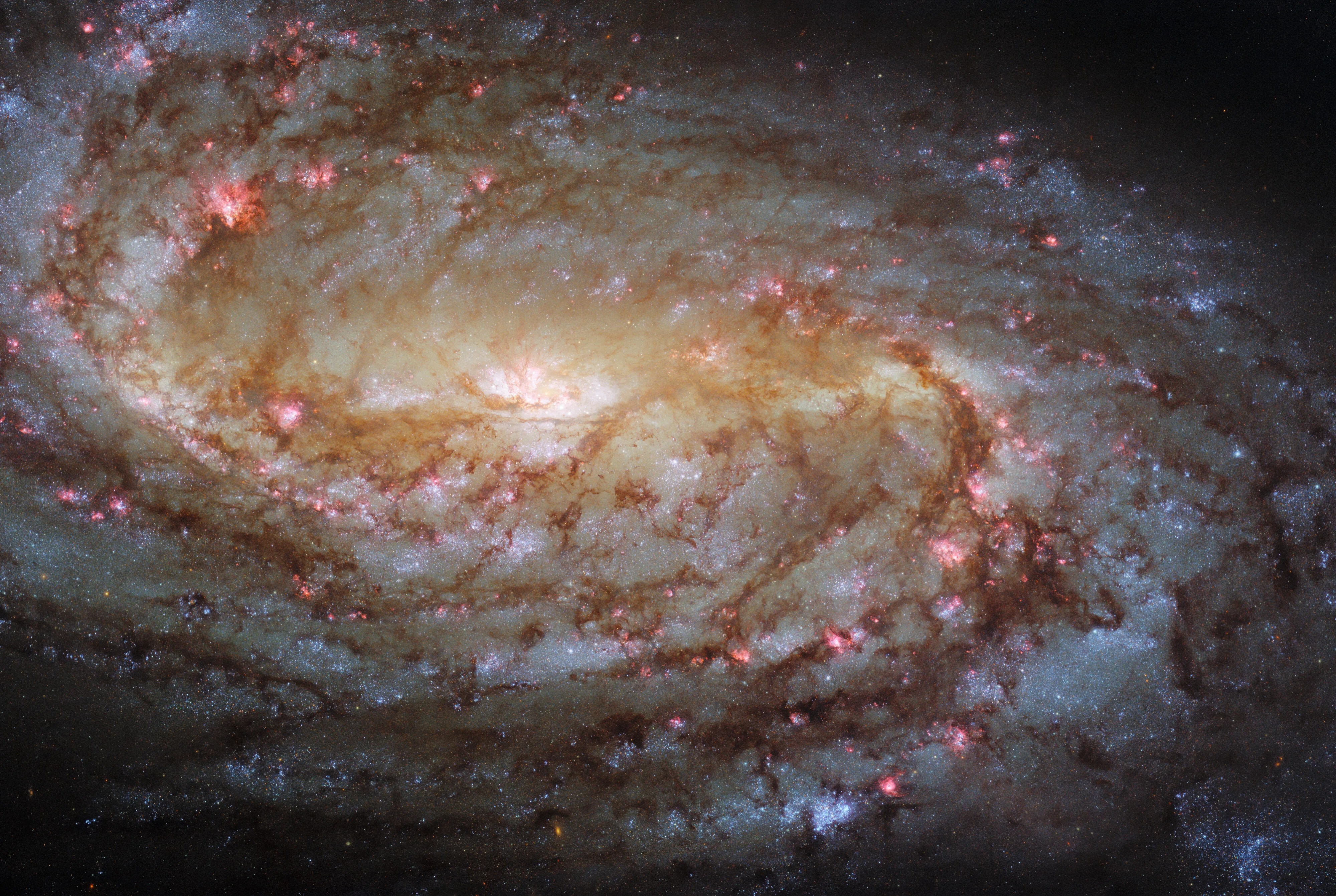 A bright spiral galaxy with dark dust lanes and star-forming regions along its spiral arms.