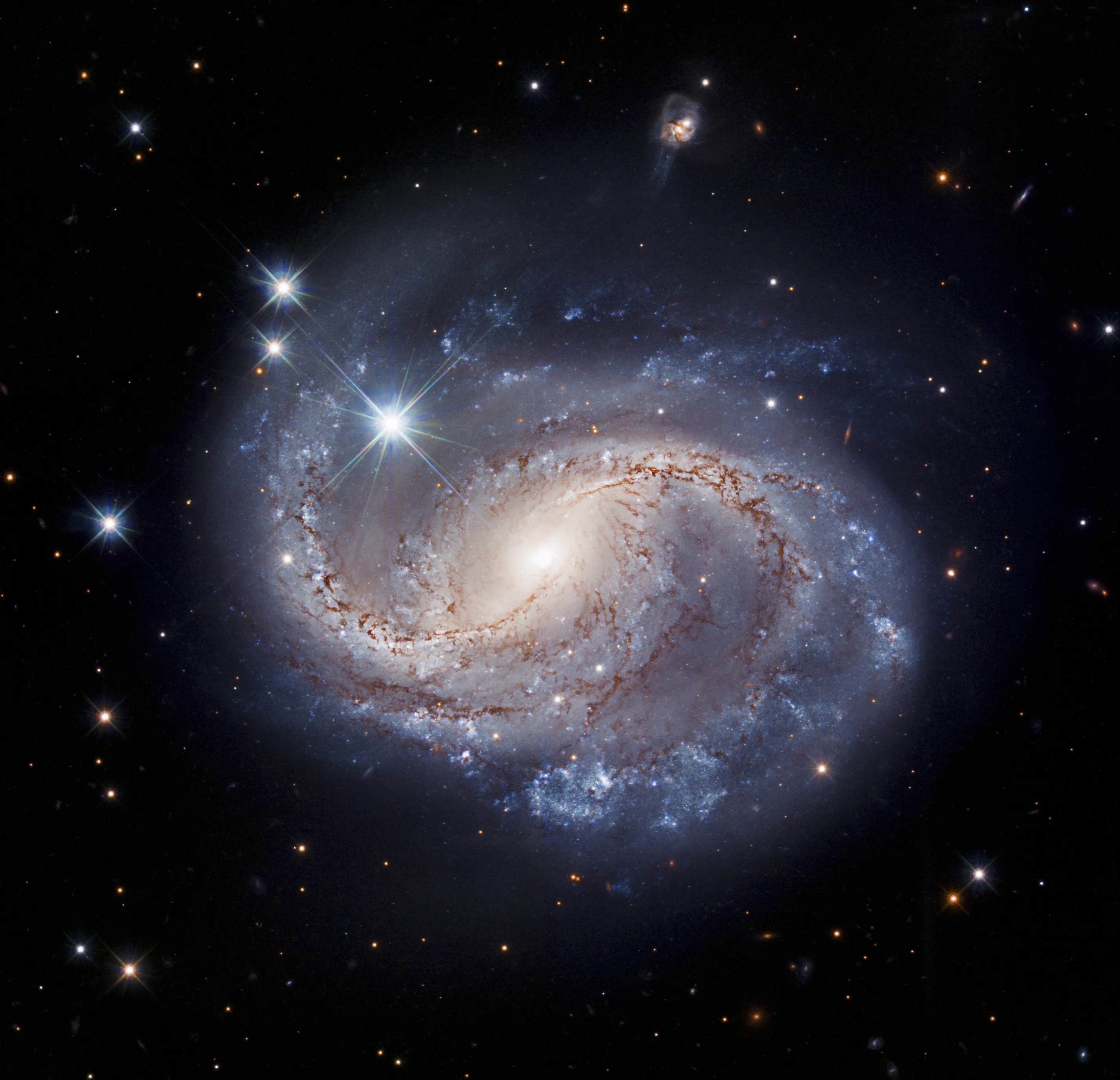 Image center: blue, and pinkish-white swirls of the barred spiral galaxy ngc 6956. dark, reddish-brown dust lanes along the inner part of the spiral arms. inky black background with foreground and distant stars and galaxies.