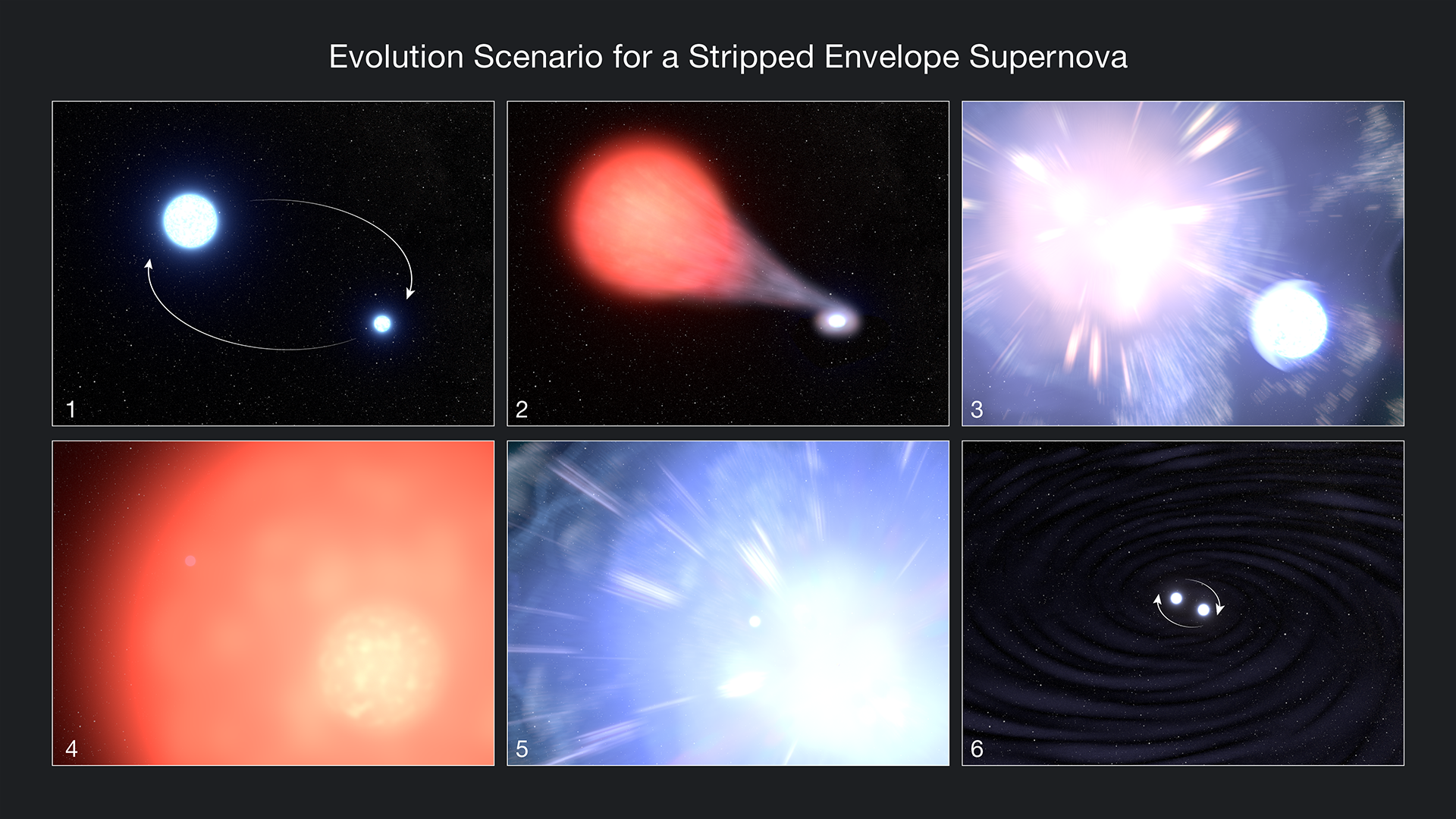 Top L-R 1) large white star, smaller white star 2) Large red star gas streaming to smaller star 3) pinkish-white supernova, irradiated smaller star. Bottom L-R 4) orange star 5) blue-white supernova 6) white star cores orbiting each other