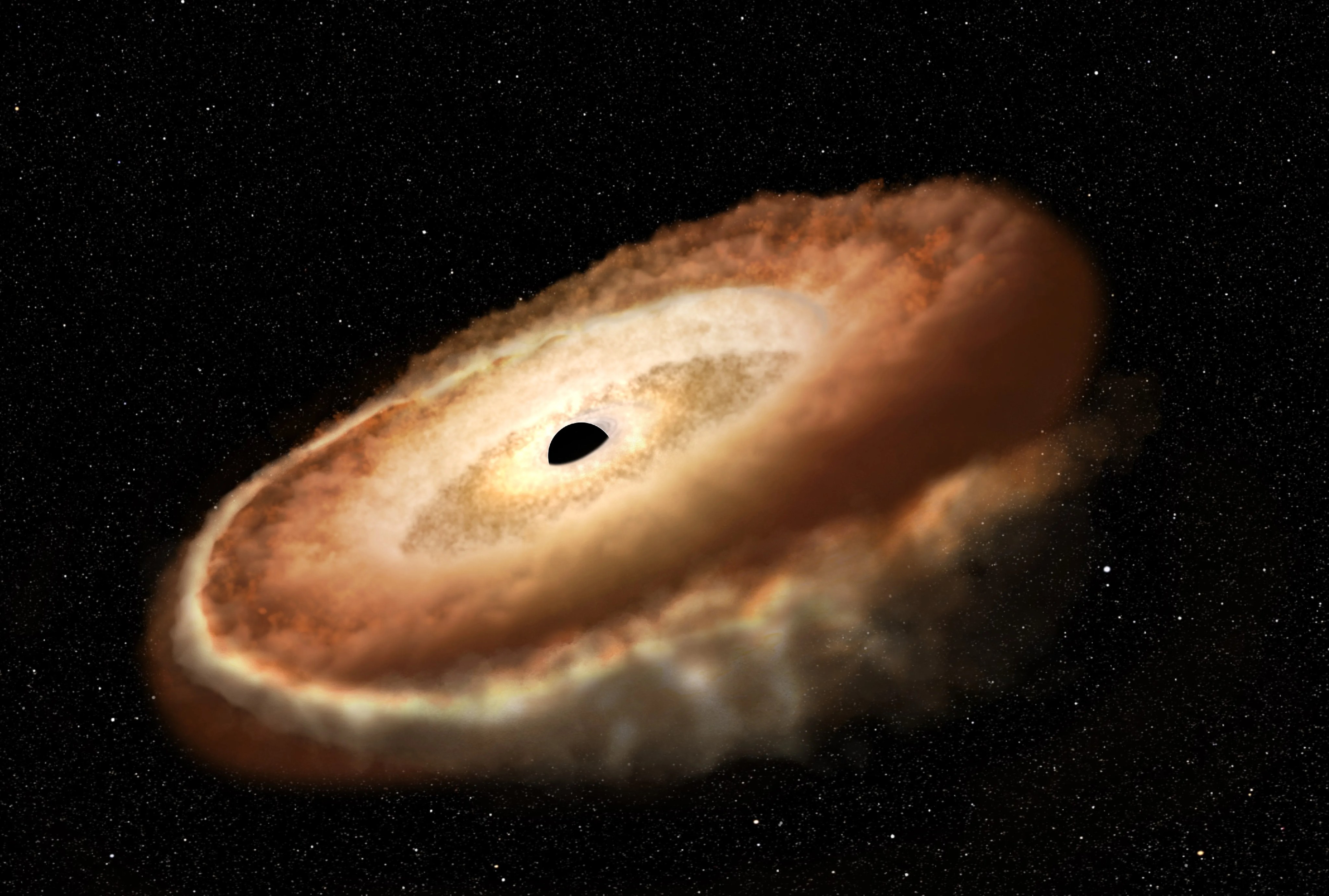 Illustration of a black hole at center of frame, swirling disk of rusty-orange and white gas surrounds the black hole