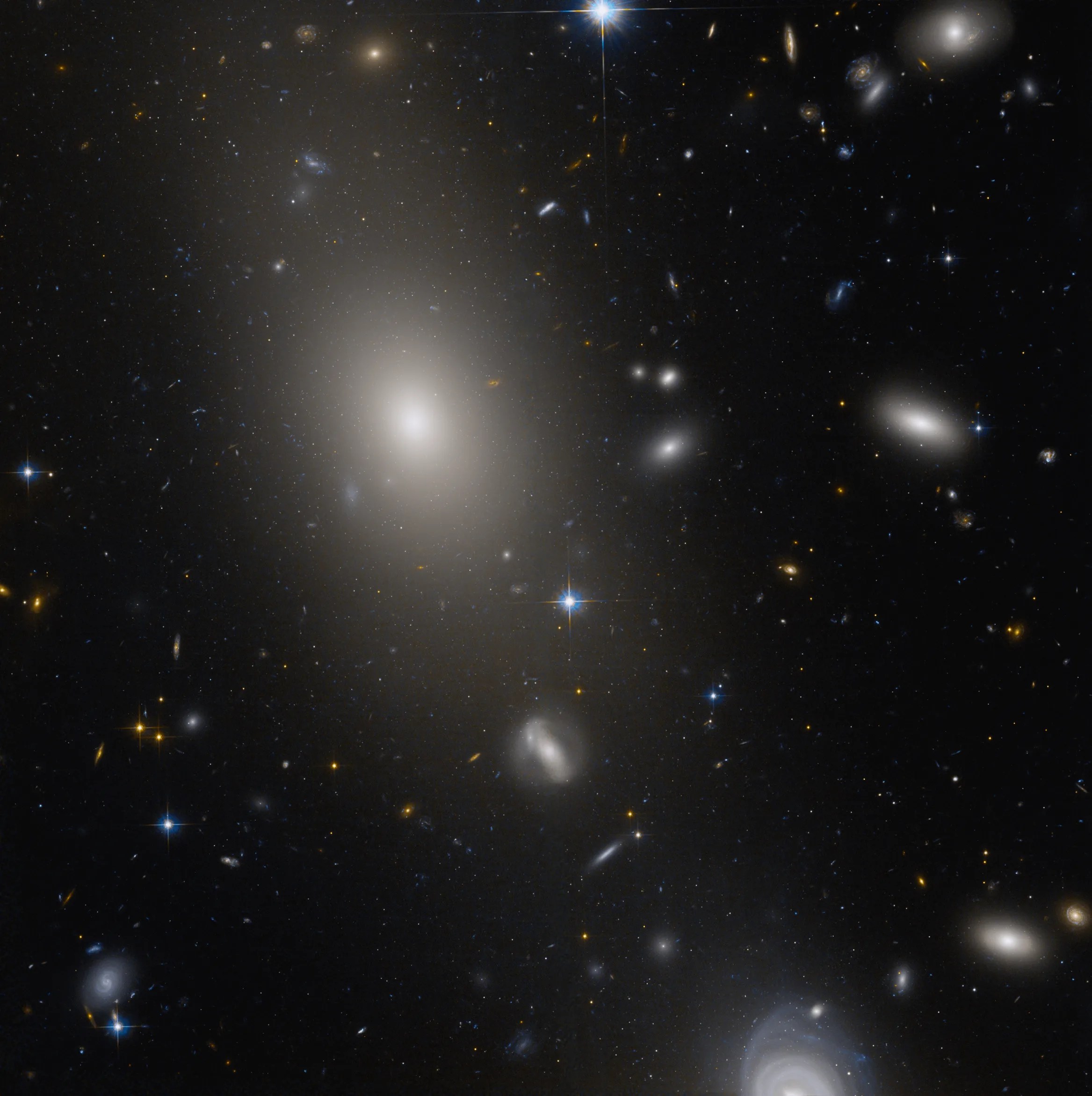 A field of galaxies. a large elliptical galaxy in the top left quadrant, with more distant galaxies visible through its fringes.
