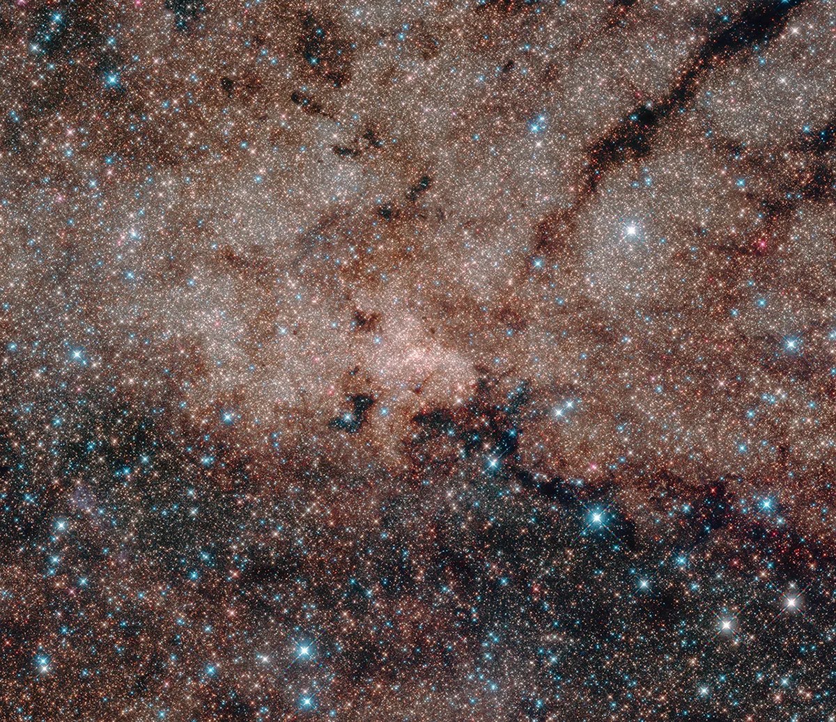 A field of stars crowd the image, with brown dust interlaced throughout.