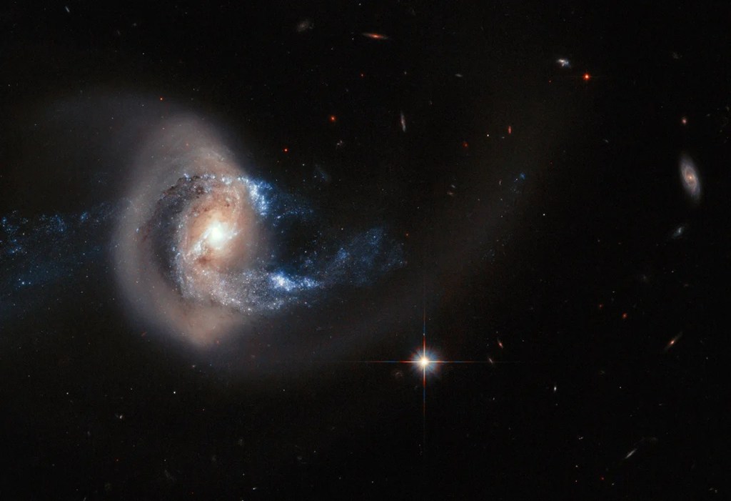 A swirled galaxy with a bright center and a swooping tail of stars pulled out into a glowing golden loop that eventually trails off to the right of the galaxy. A bright foreground star and more-distant galaxies are visible in the image.