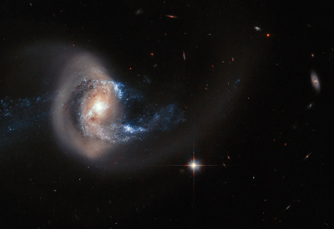 A swirled galaxy with a bright center and a swooping tail of stars pulled out into a glowing golden loop that eventually trails off to the right of the galaxy. A bright foreground star and more-distant galaxies are visible in the image.