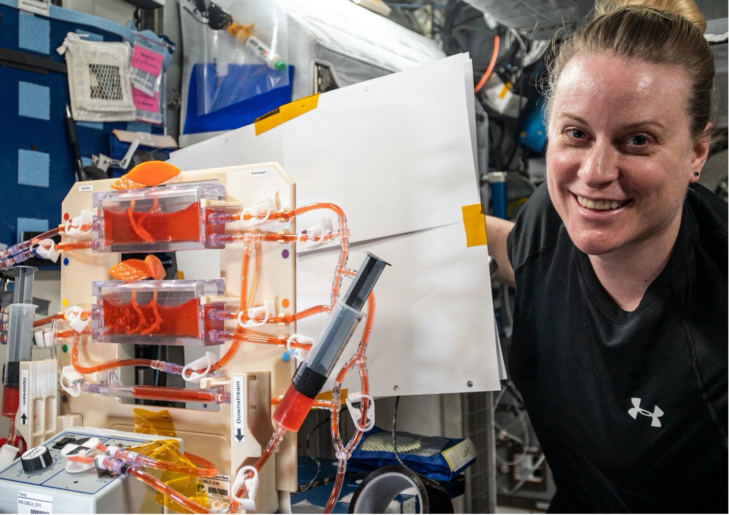 Photograph of a woman on the ISS next to the hydroponics research experiment with orange fluid in clear boxes connected by tubes.