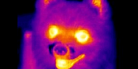 infrared-thumb.png