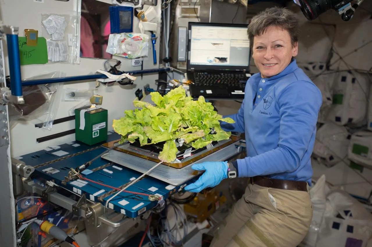 Photo of astronaut Peggy Whitson posing with cabbage plants