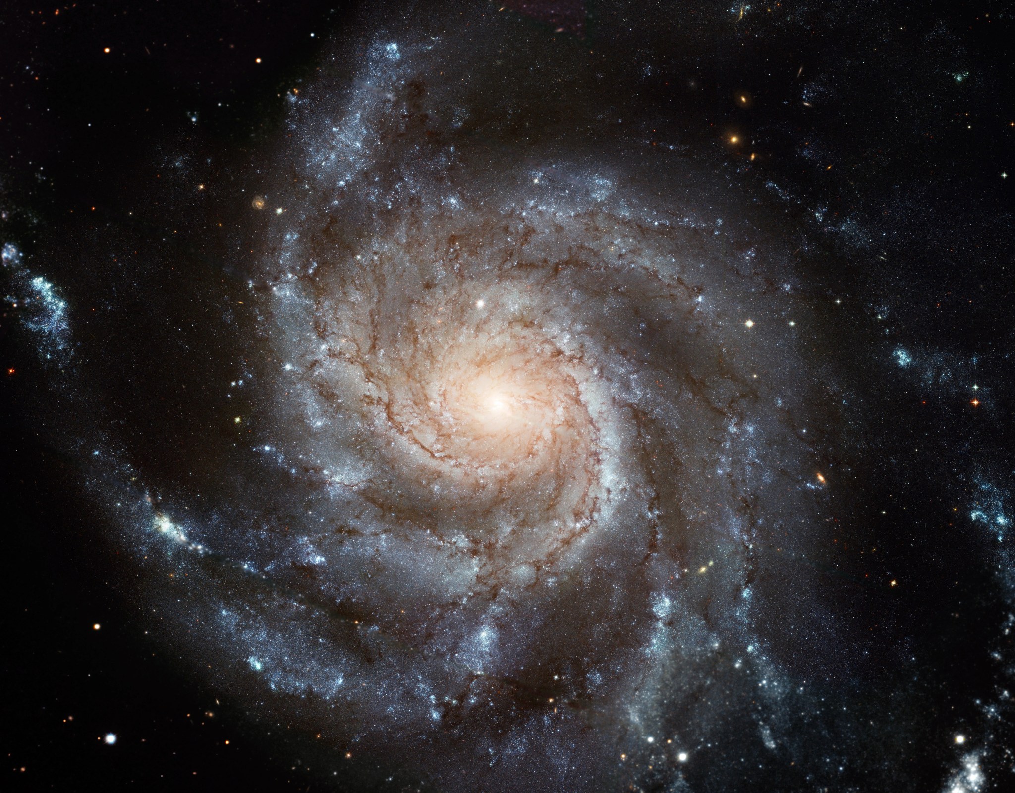 Messier 101 (The Pinwheel Galaxy)