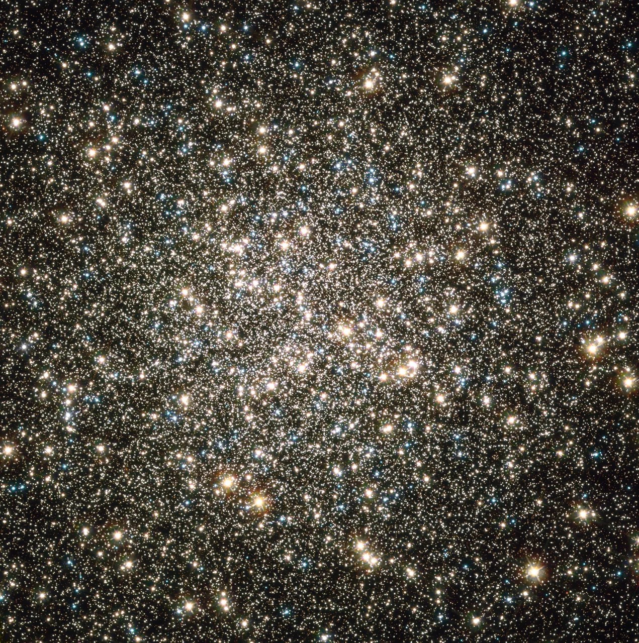 A globular cluster of thousands of stars, mainly white and yellow with small blue stars intermixed.