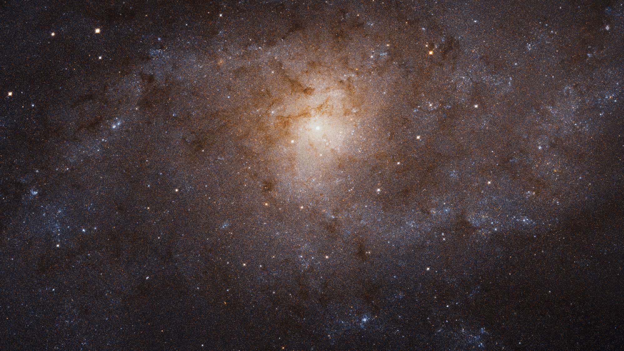 Triangulum Galaxy Shows Stunning Face in Detailed Hubble Portrait ...