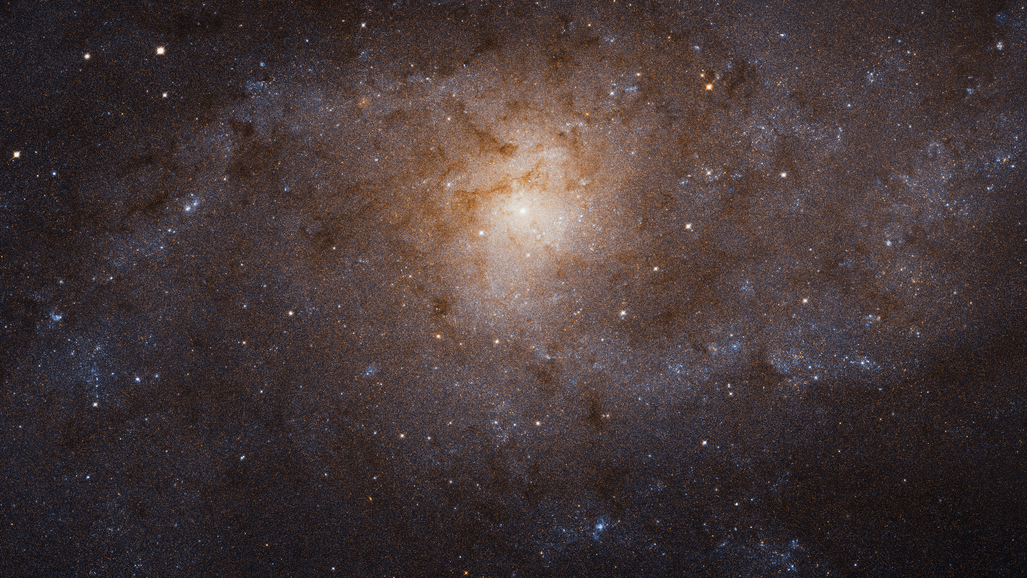 This bright galaxy shines with a yellowish core and is surrounded by dust and stars.