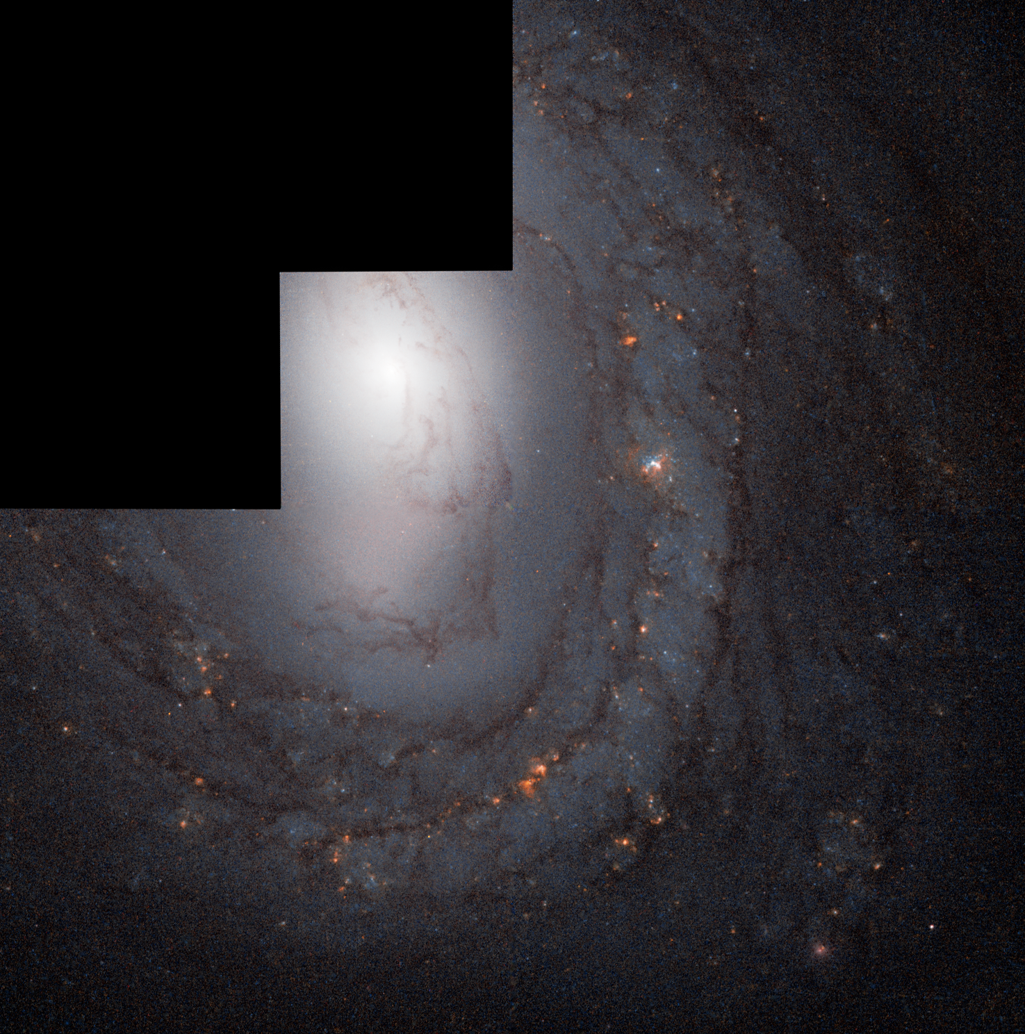 Spiral galaxy seen from above. Bright central core is white due to the light from so many stars, on the outer edge of the galaxy the arms spread out, with light blue and purple dust and gas, peppered with stars.
