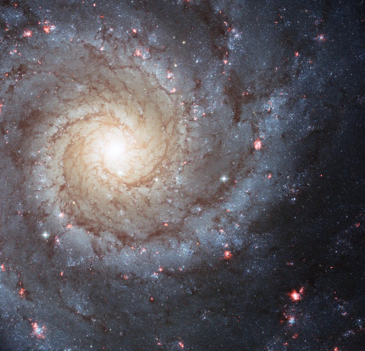 A large spiral galaxy fills the image. Its bright, yellow core is near the upper left, surrounded by big spiral arms laced through with dark dust and purple and pink regions of star formation.