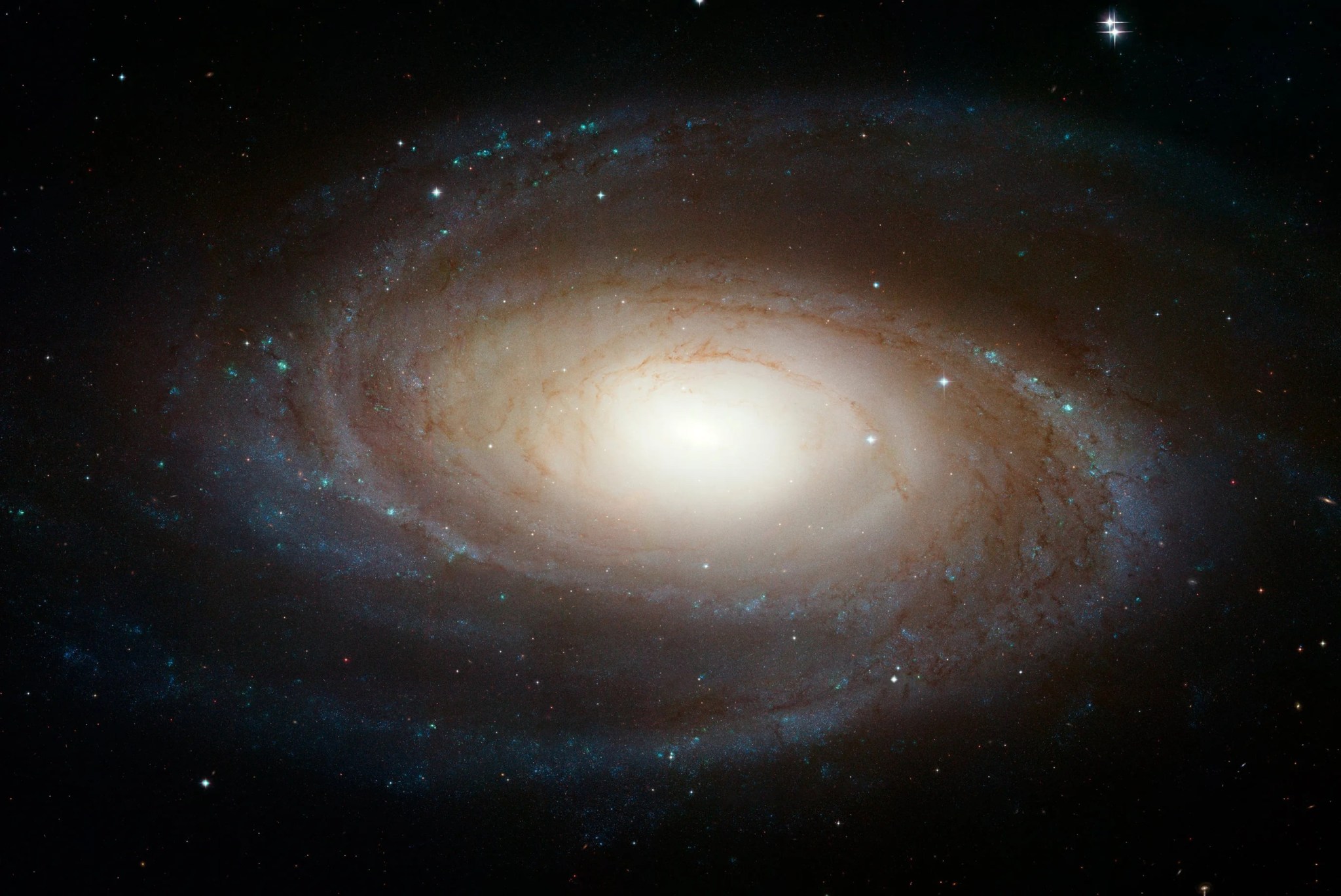 M81