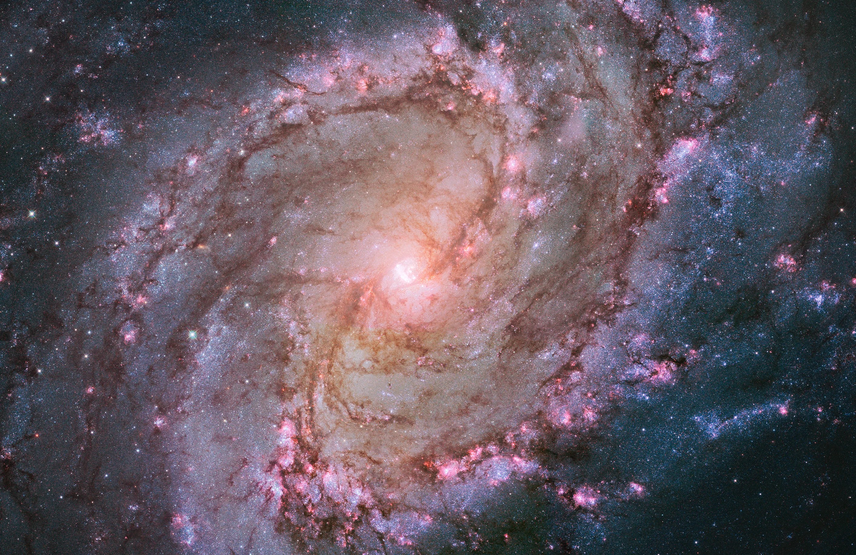 A large spiral galaxy stretches across the image, with a bright core surrounded by large spiral arms laced through with dark dust and purple and pink regions of star formation.