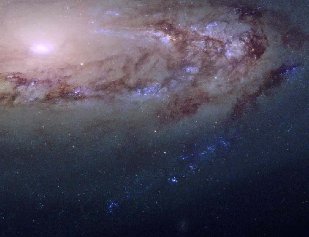 A purple-white galaxy core is seen near the top left of the image, surrounded by spiral arms laced through with dark dust and purple regions of star formation.