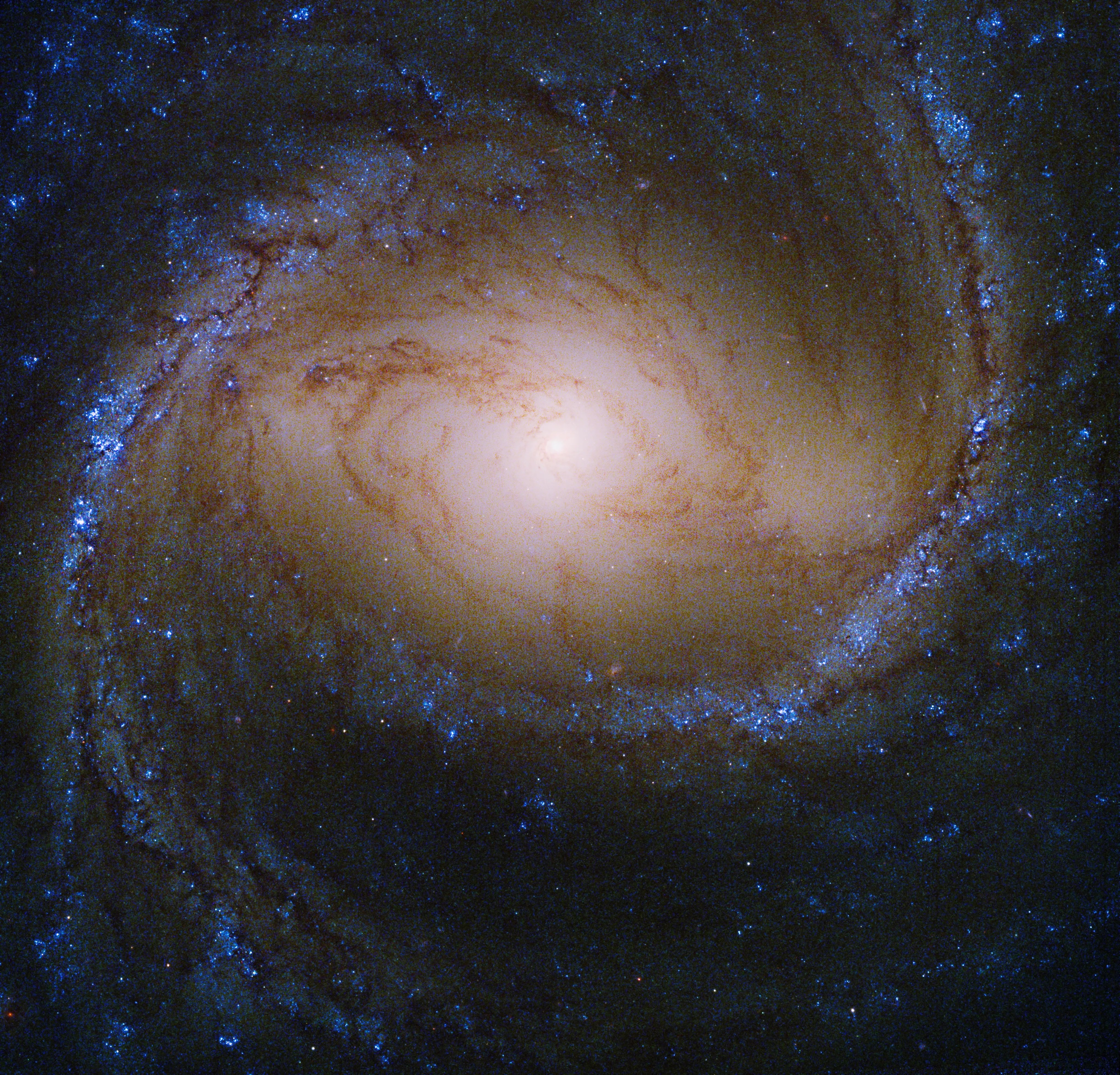 A bright yellow galaxy core shines, surrounded by spiral arms laced through with dark dust and bright blue regions of new stars.