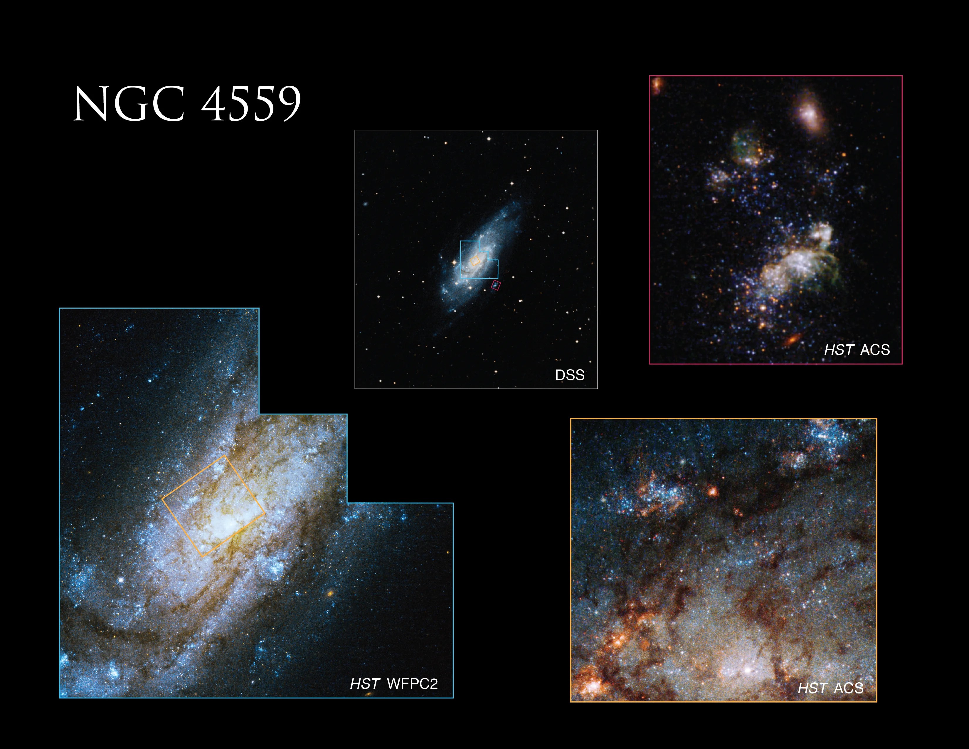 At top center, a ground-based image of Caldwell 36 (NGC 4559) from the Digitized Sky Survey (DSS) includes colored boxes showing some of the areas targeted by Hubble. The image at bottom left, taken by Hubble’s Wide Field and Planetary Camera 2 (WFPC2), shows the core of the galaxy. In the WFPC2 image, a smaller, orange square defines the area covered in an even closer view of the galaxy’s core taken by Hubble’s Advanced Camera for Surveys (ACS), shown in the bottom right. The image at top right, also taken by ACS, features a large star-forming complex in the outskirts of the galaxy, as well as a dwarf galaxy (the fuzzy, reddish object near the top) that might be an orbiting companion of Caldwell 36. All the Hubble images include visible and infrared light.