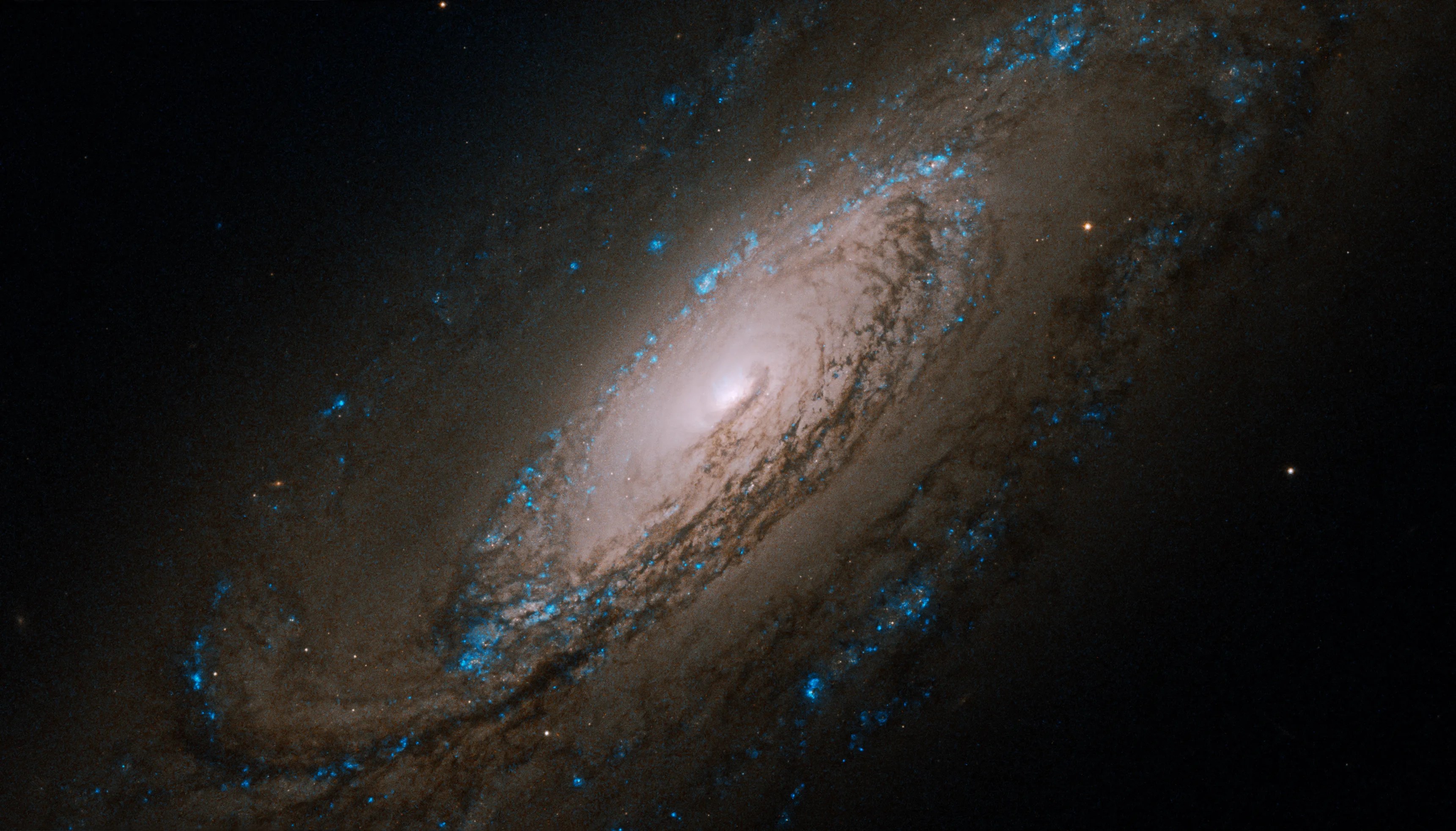 45 degree view of a spiral galaxy. Dark blue dust and gas covers up most of its millions of stars, but the core, center of the image, is bright white.