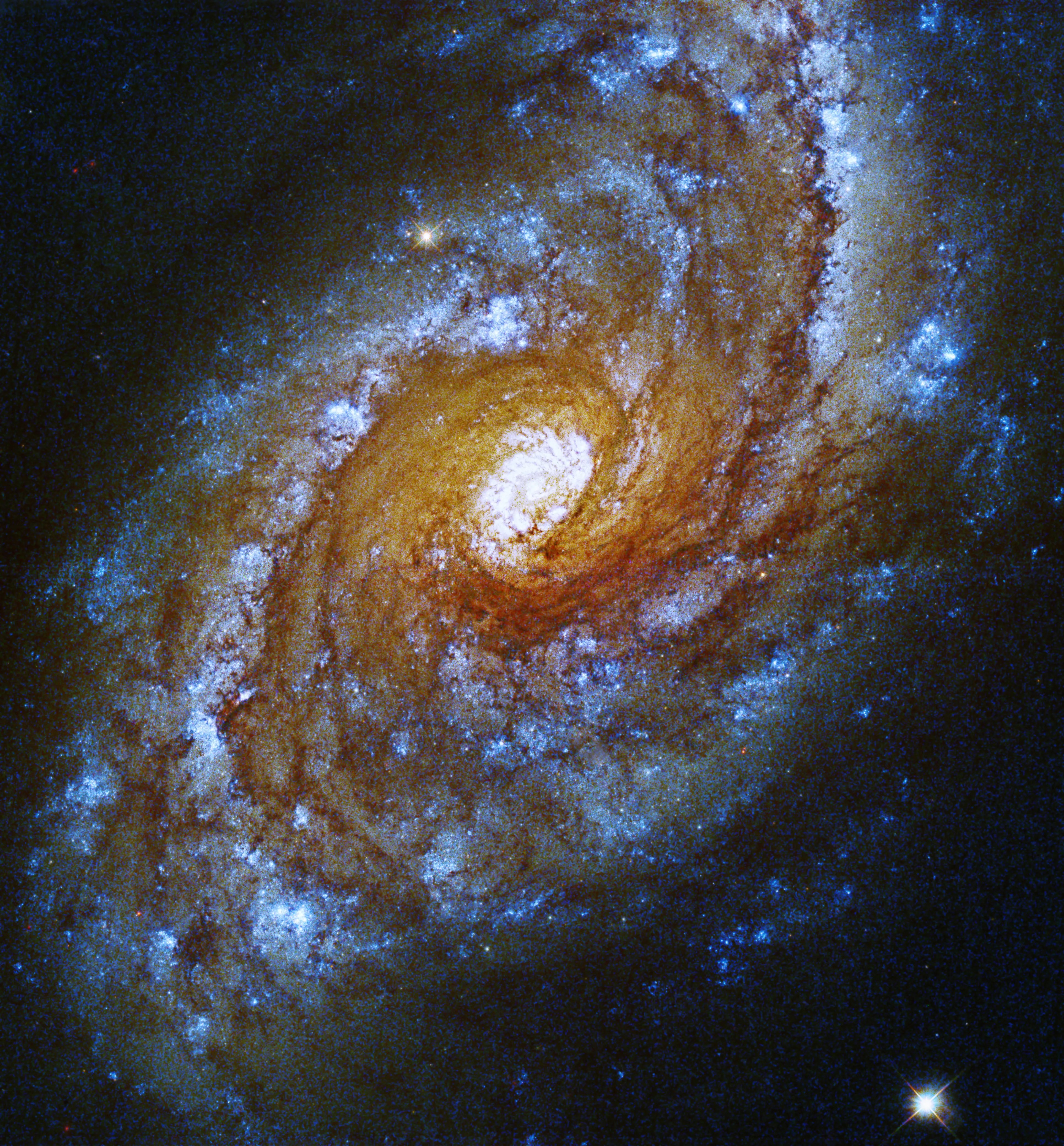 This spiral galaxy is shaped like a hurricane, with a glowing white spherical center. The arms of gas and dust closest to the center are orange, red, brown, and pale yellow in color. Farther away from the center, the arms are layers of brown and blue.