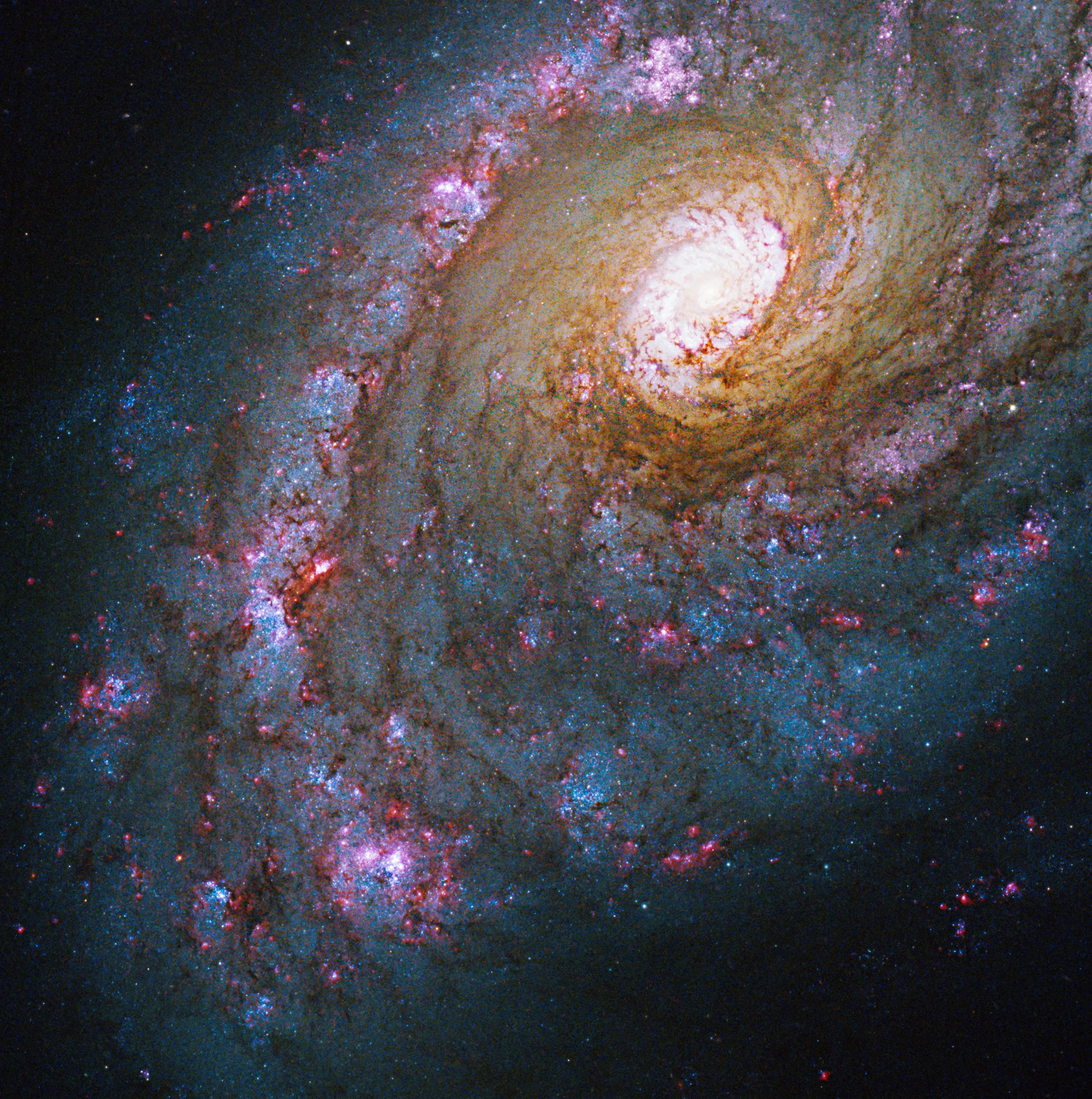 This spiral galaxy is shaped like a hurricane, with a glowing white spherical center. The arms of gas and dust closest to the center are orange, brown, and pale yellow in color. Farther away from the center, the arms are pink scattered with red, and surrounded by blue stars.