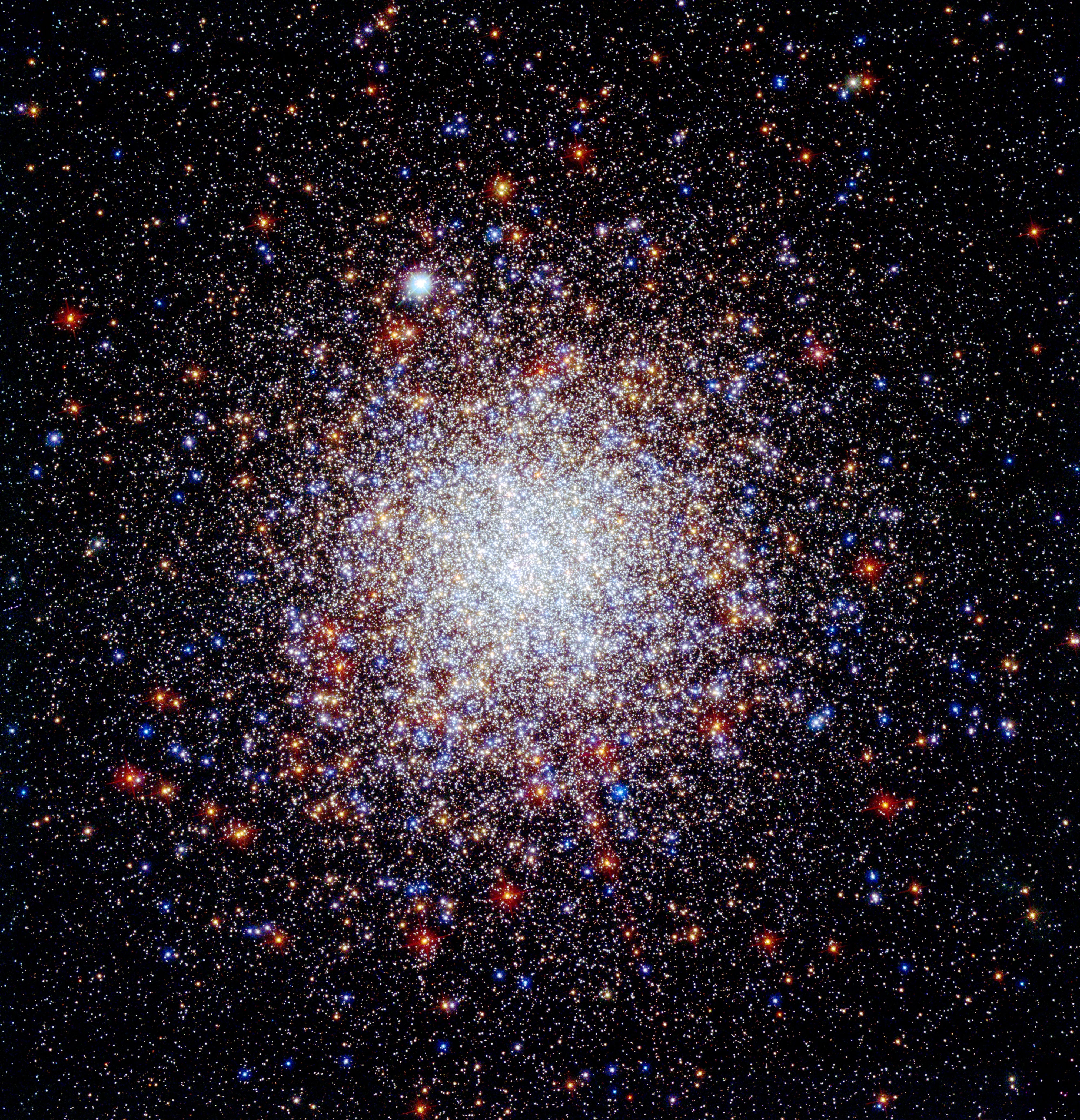 The nearly spherical globular star cluster Caldwell 84 is dense and thick with stars. Whiter stars appear near the center and blue and red stars farther out.
