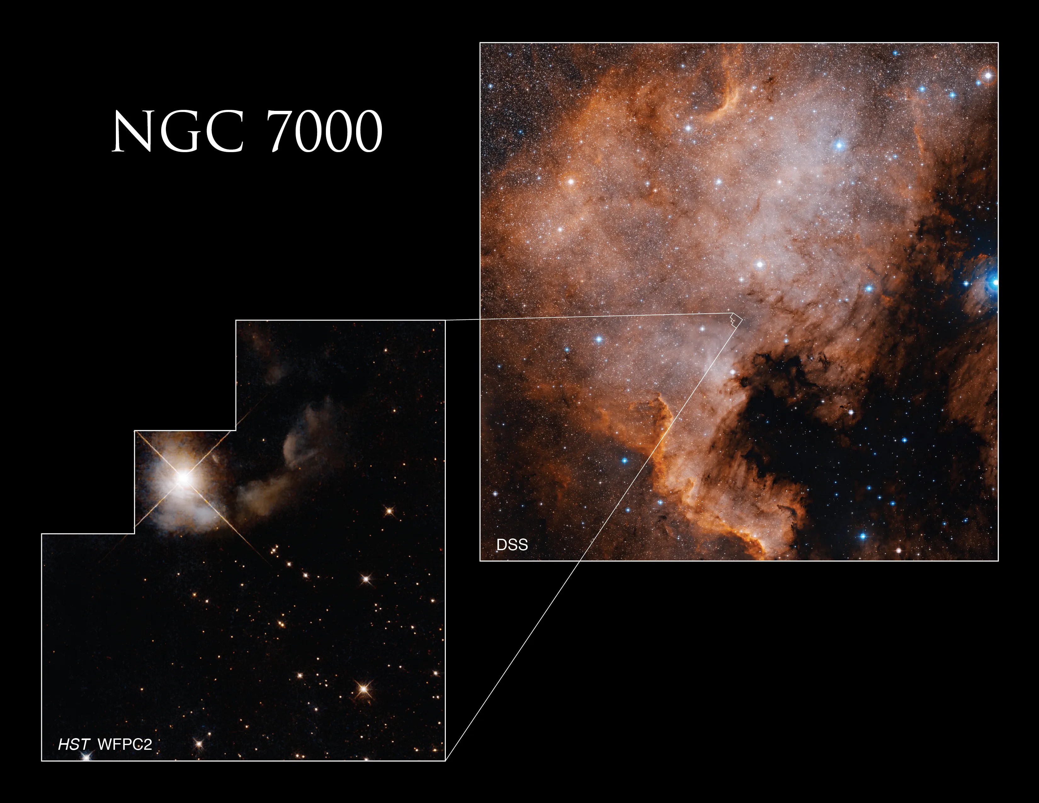 The Digitized Sky Survey (DSS) ground-based image of Caldwell 20 (NGC 7000) in the upper right captures a wide view of the nebula, illustrating why the object is known as the North America Nebula. The white outline shows the location of Hubble’s observation taken with its Wide Field and Planetary Camera 2 (WFPC2), which captures a small region of the nebula located roughly where northeastern Texas might be.