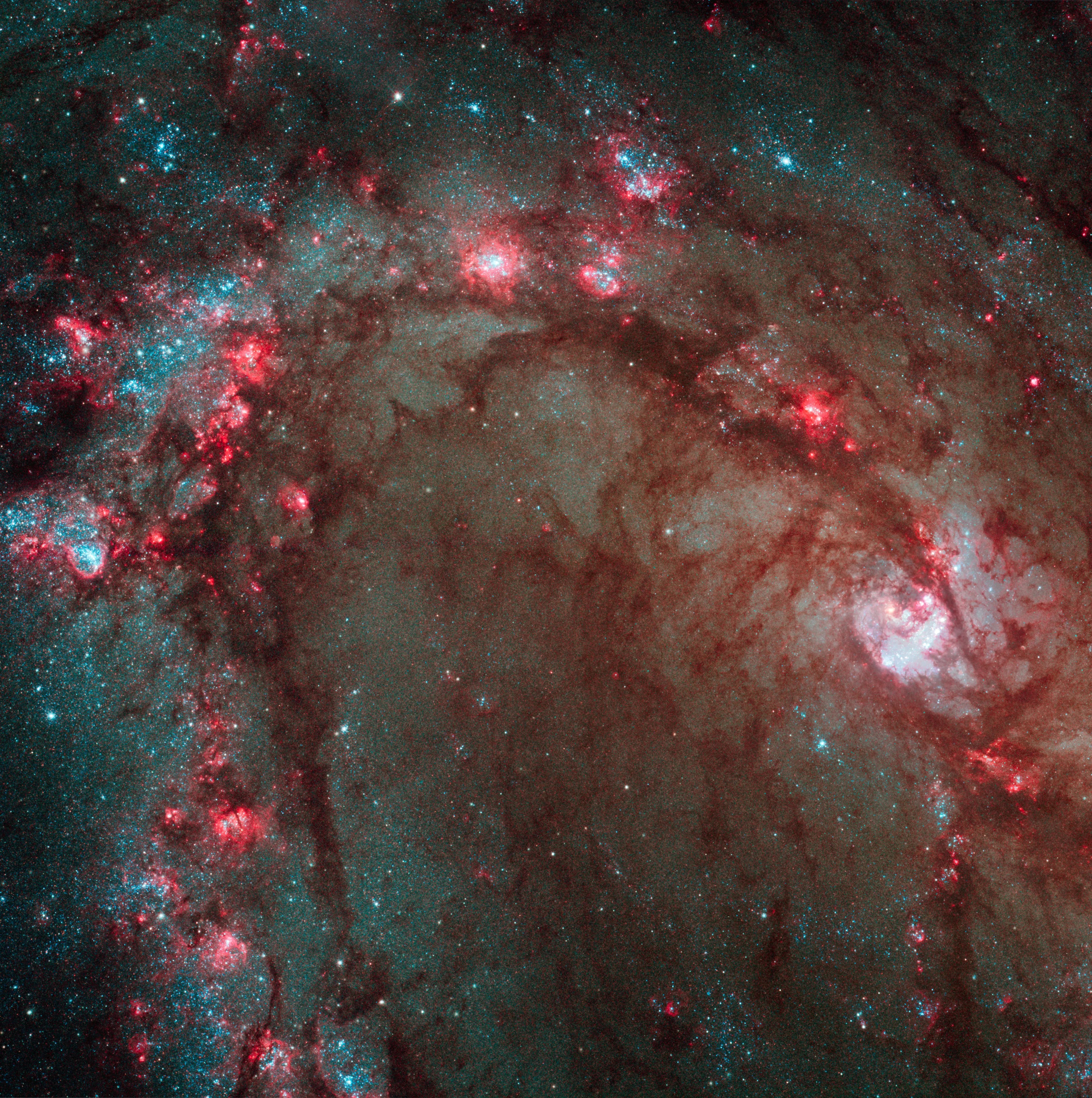 Several stars near the core of the galaxy M83 are seen in this image, in dark pink blooms of star birth and bright blue pockets of star formation.