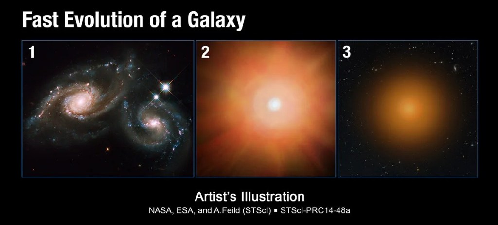 A three panel illustration. Panel 1: Two spiral galaxies merging. Panel 2: A bright flare. Panel 3: An elliptical galaxy.