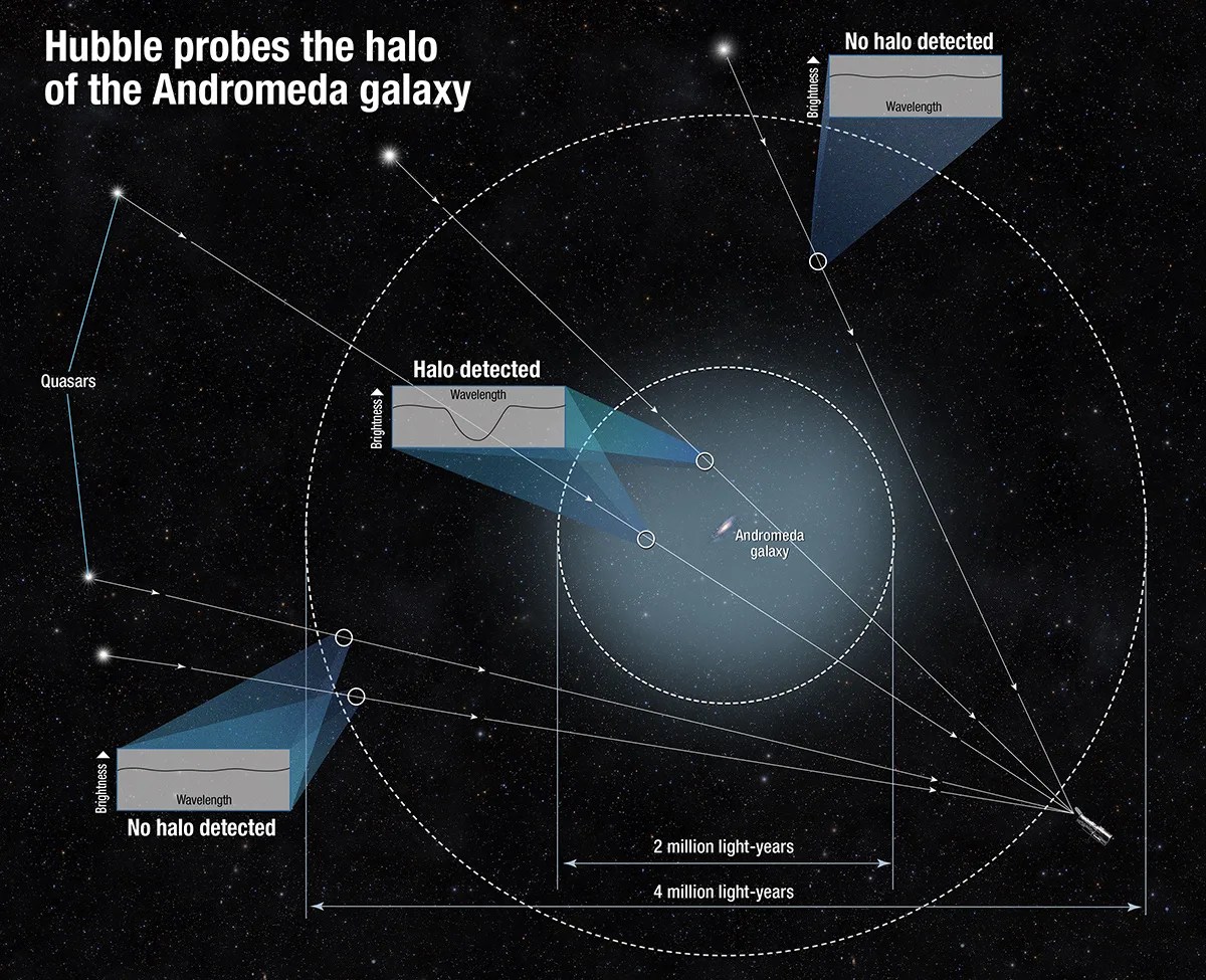This diagram illustrates where Hubble viewed quasars and where it did not detect the Andromeda halo. It shows how scientists determined the size of the halo of the Andromeda galaxy. Because the gas in the halo is dark, the team measured it by using the light from quasars, the very distant bright cores of active galaxies powered by black holes. They observed the quasars' light as it traveled through the intervening gas. The halo's gas absorbed some of that light and made the quasar appear darker in a very small wavelength range. By measuring the tiny dip in brightness at that specific range, scientists could tell how much gas is between us and each quasar. Some quasars showed no dip in brightness, and this helped define the size of the halo.