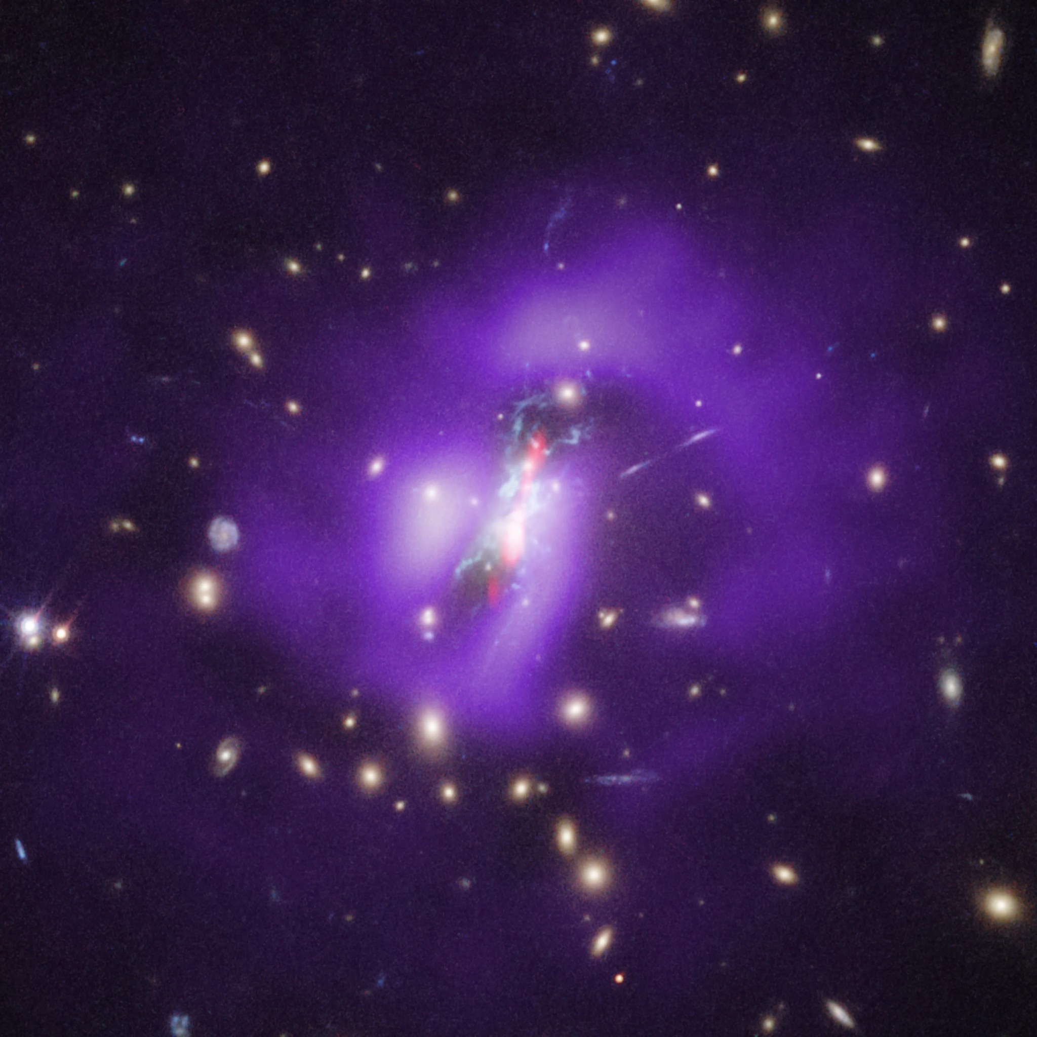 Image of phoenix cluster.