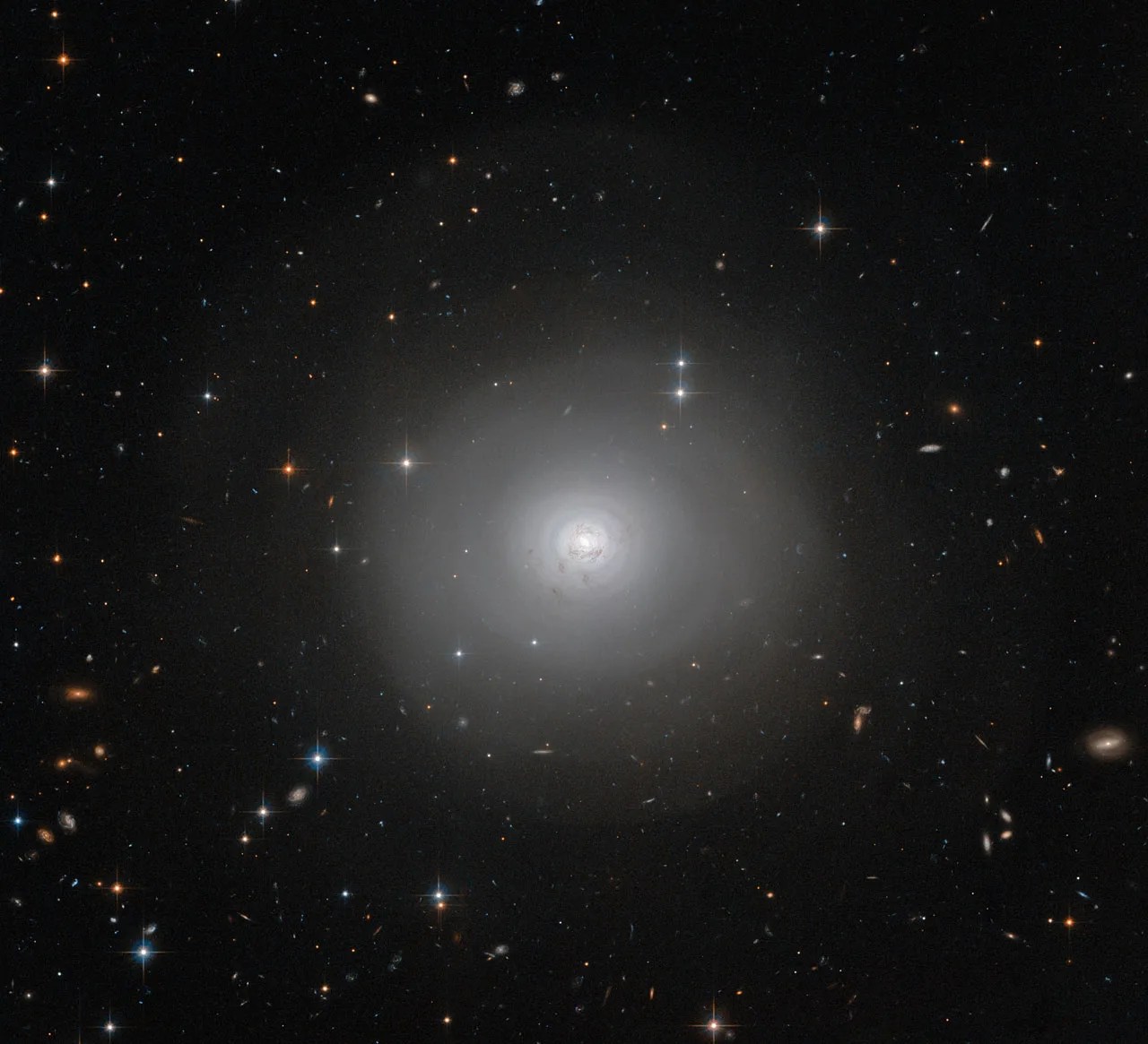 Hubble views dark, dusty shells