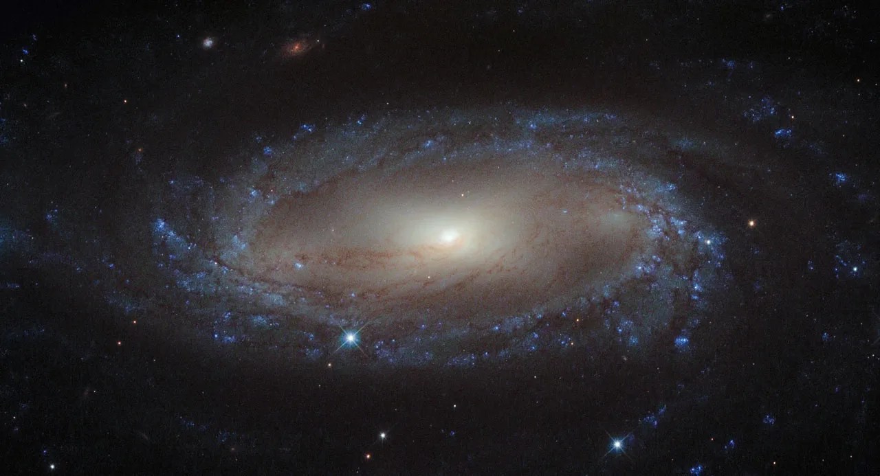 Delicate spiral galaxy with a flat disc center