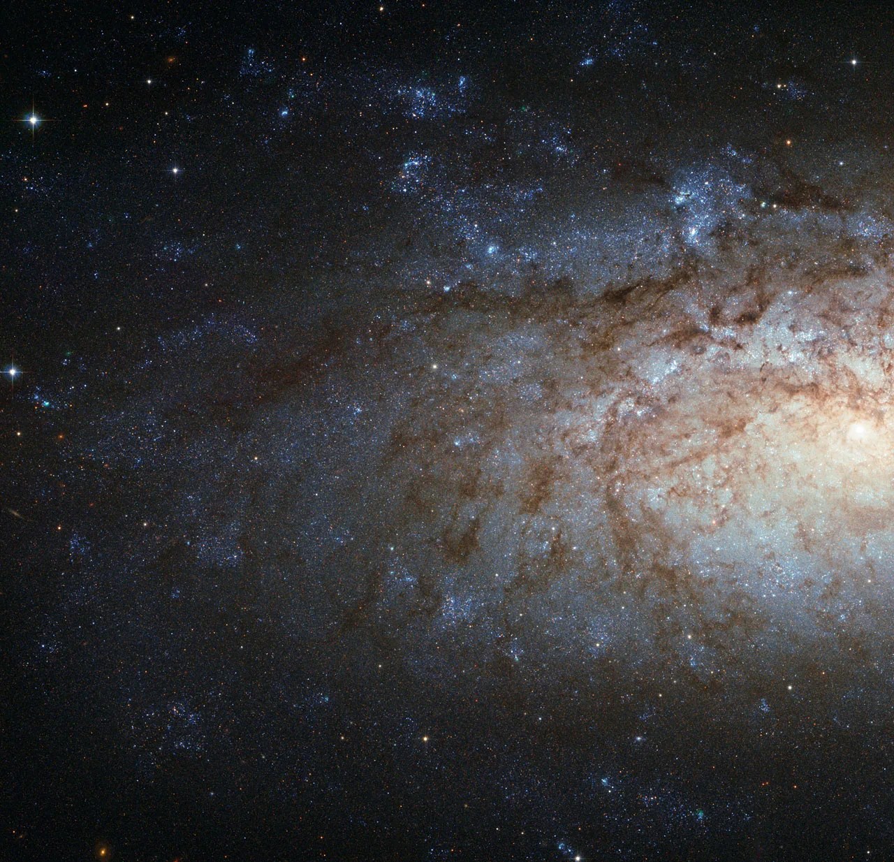 Part of ngc 3621