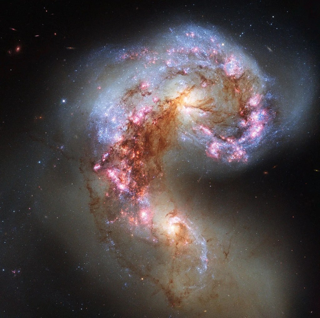 
			NASA Hubble Sees Sparring Antennae Galaxies			