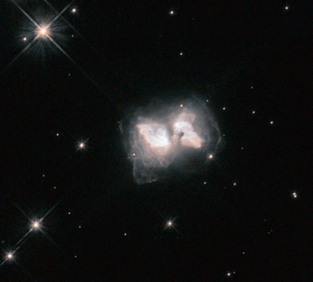 Bi-petaled white-pink butterfly nebula amid a stark black starfield