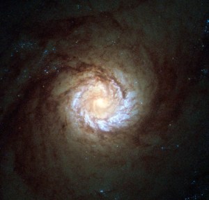 A dusky spiral galaxy with a close in swirl of bright blue stars