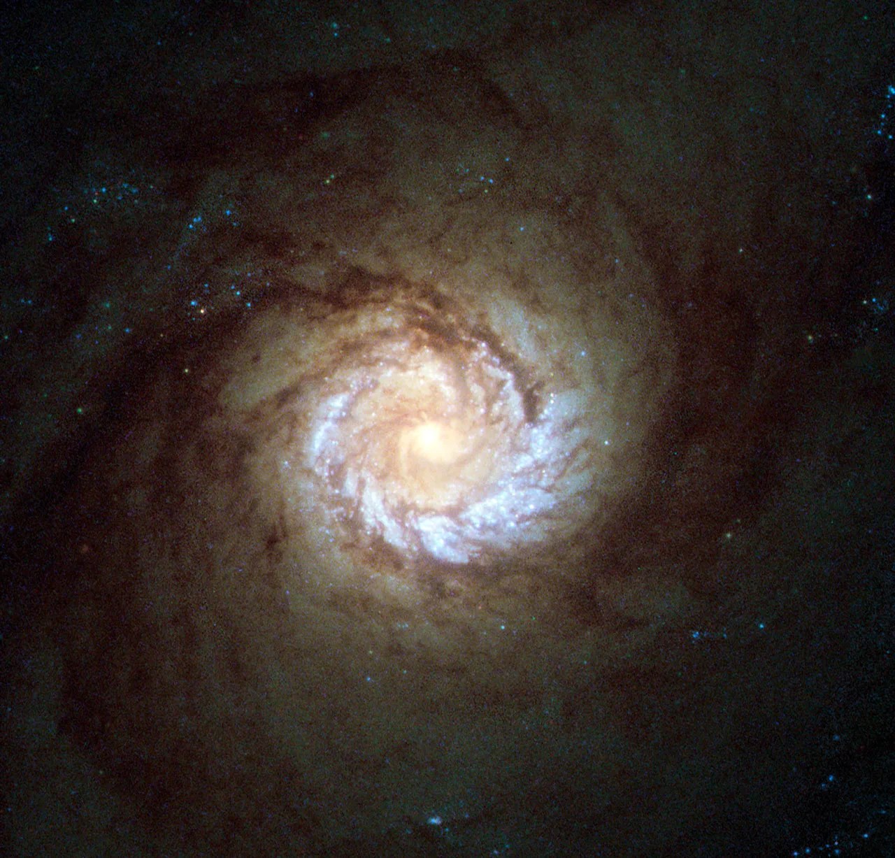 A dusky spiral galaxy with a close in swirl of bright blue stars