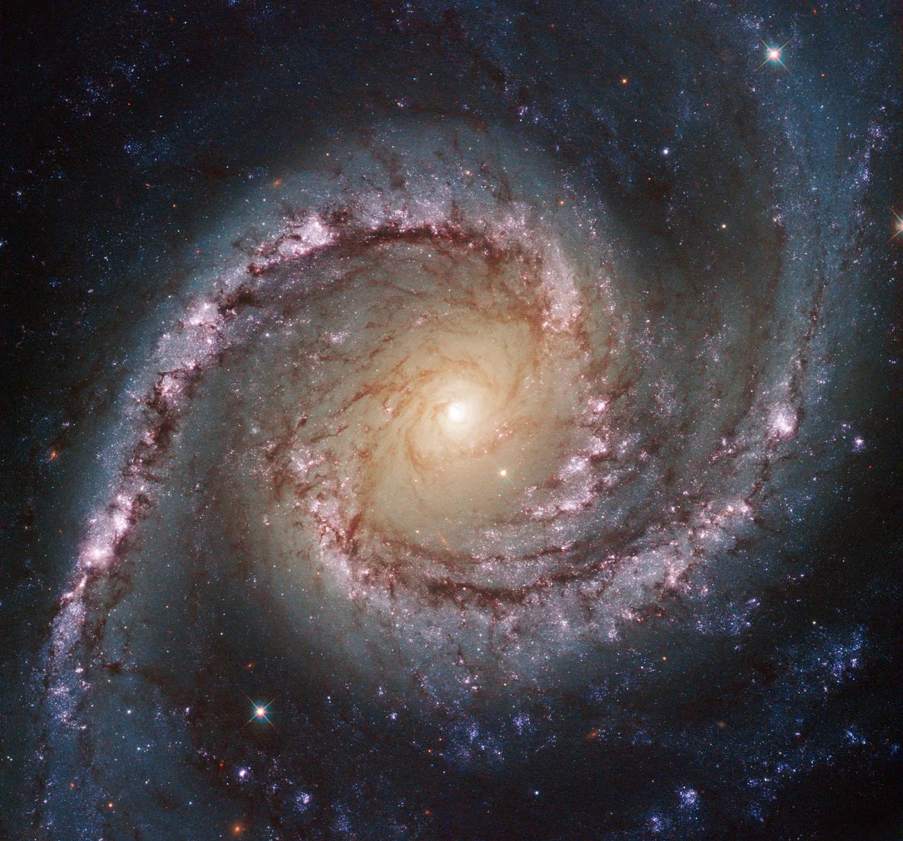 A bright spiral galaxy with two pronounced arms of bright pink stars