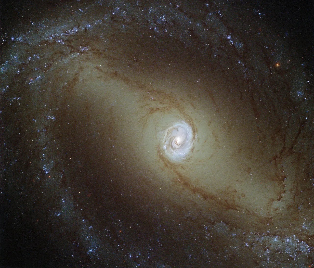 Oblong spiral arms streak outward from a central glowing bluish heart