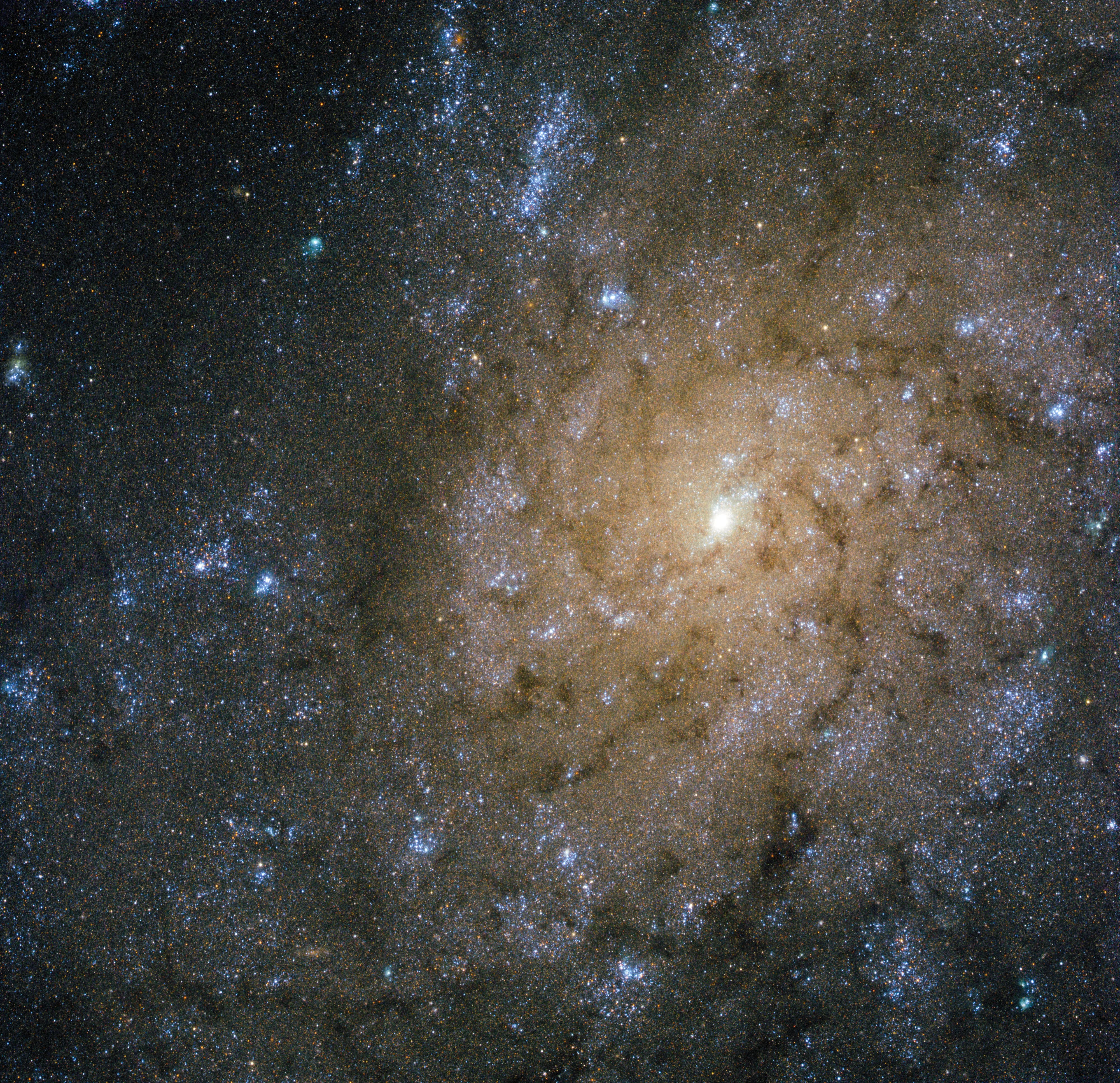 Hubble image of ngc 7793