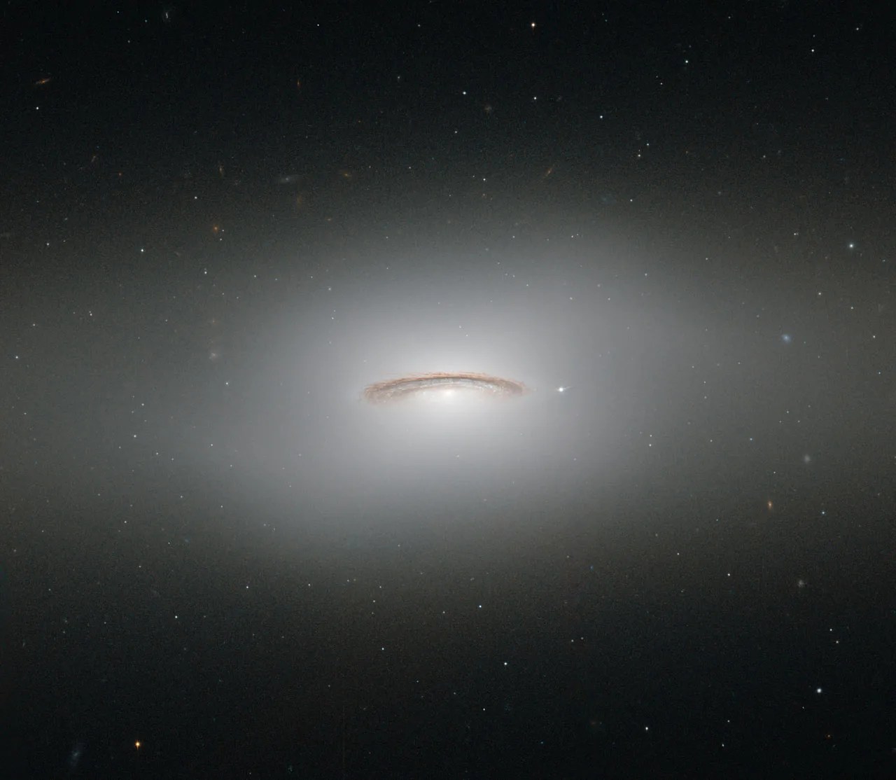 A bright, disk-shaped galaxy with rim-like dark dust lanes and a bright core. It looks a bit like a distant flying saucer.