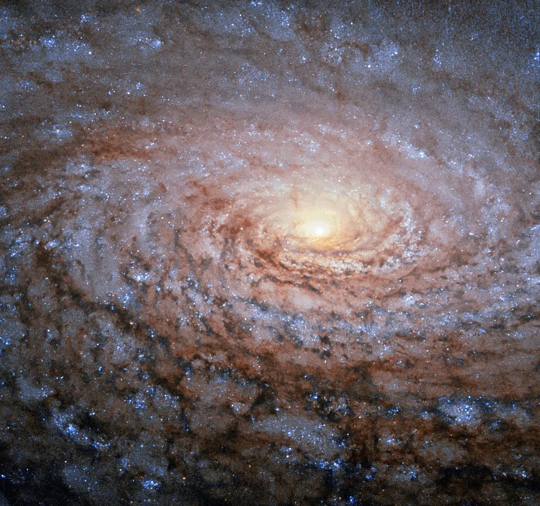 Sunflower Galaxy