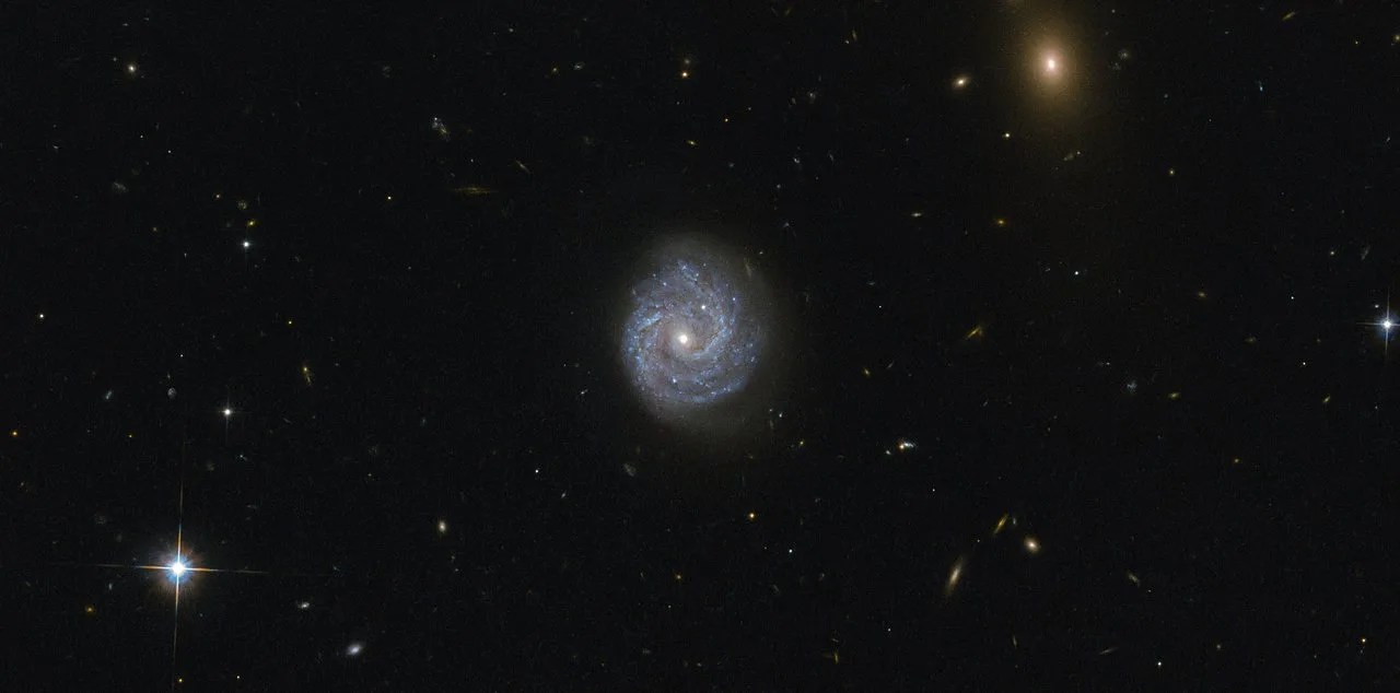 Small spiral galaxy in a field of stars and galaxies