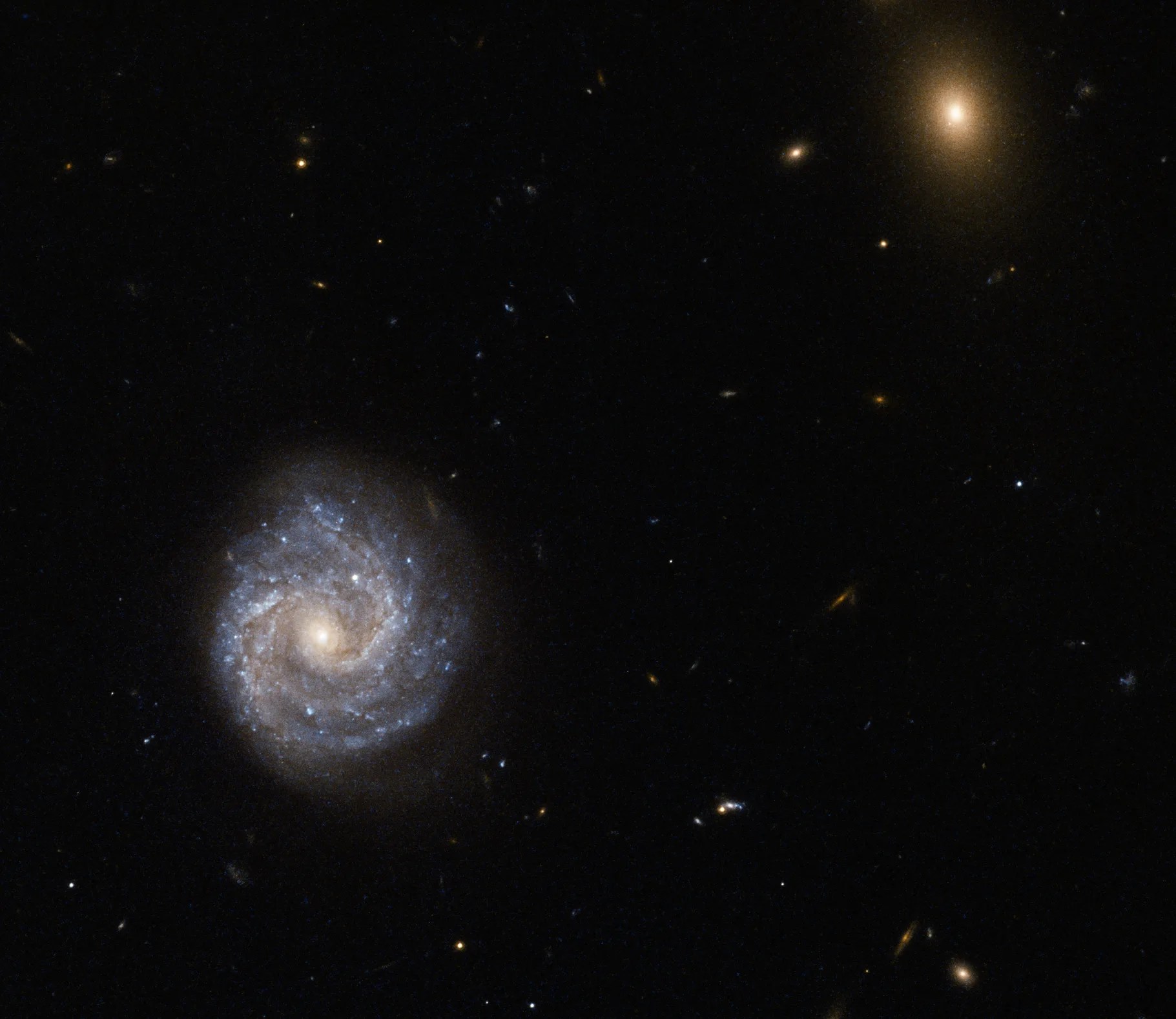 Two galaxies, on big and blueish, the other small and gold.