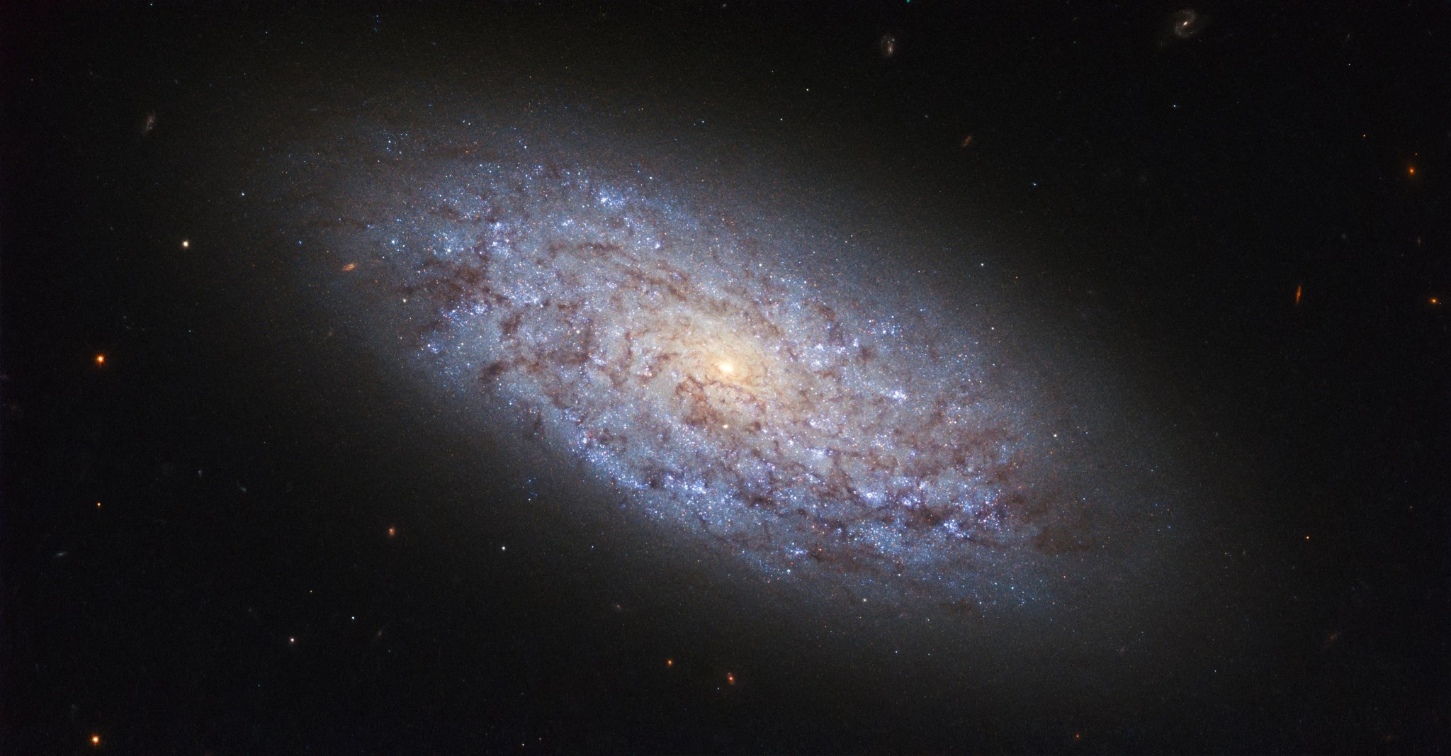 An organized swirl of blue stars and brown dust streaks