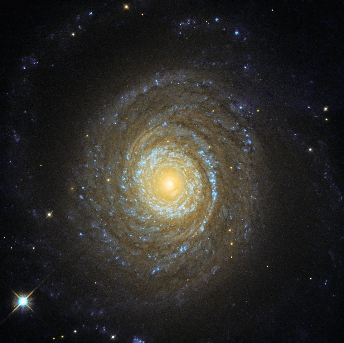 Pretty face-on spiral galaxy with bright core